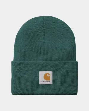 Acrylic Watch Hat | Rainforest Carhartt WIP