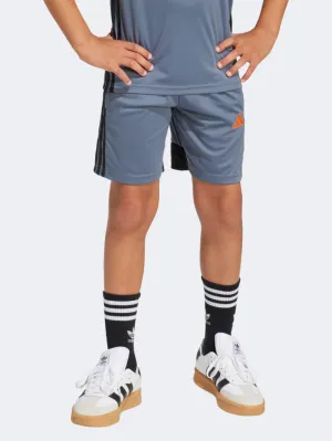 Adidas Tiro 25 Essentials Kids-Boys Football Short Onix/Orange