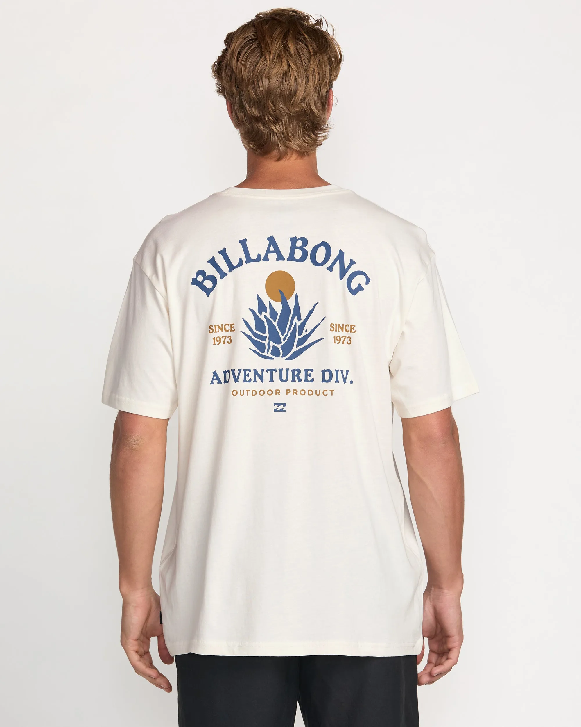 A/Div Agave Tee - Off White Billabong