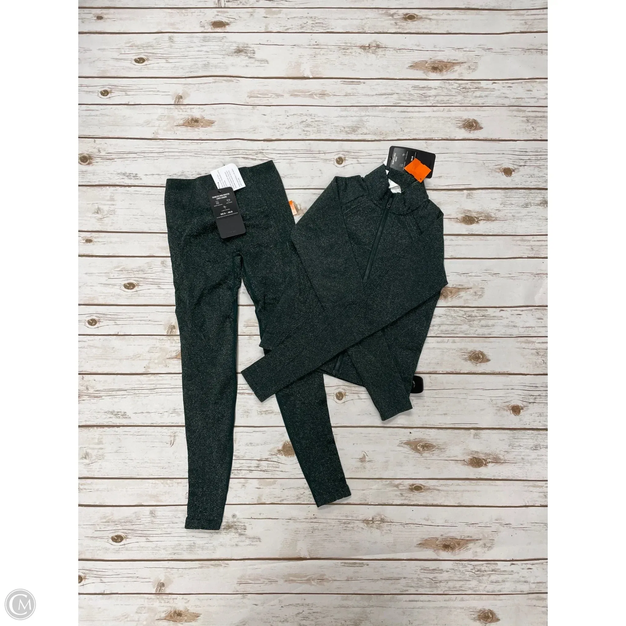 Athletic Pants 2pc By Fabletics In Green, Size: Xs