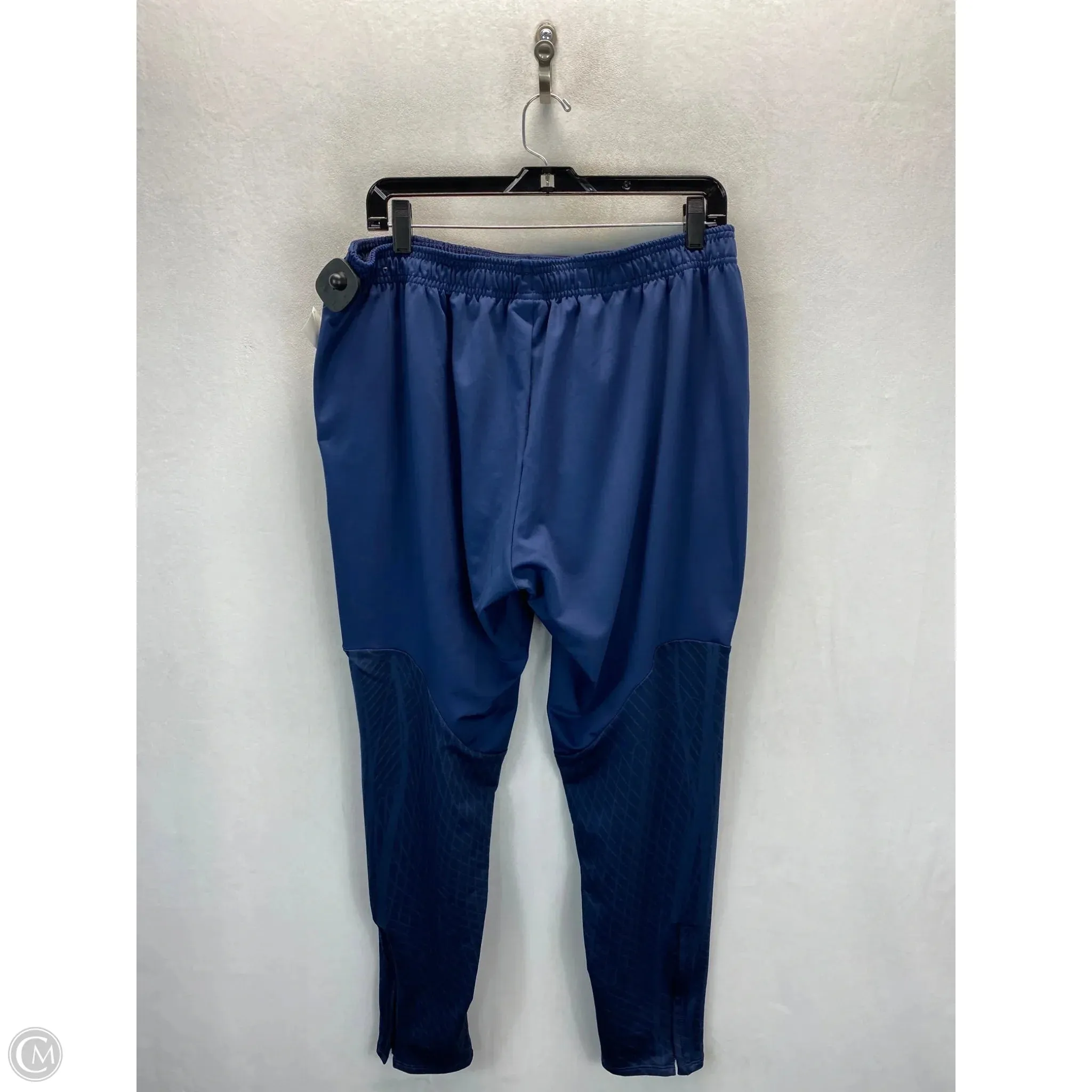Athletic Pants 2pc By Nike In Blue, Size: L