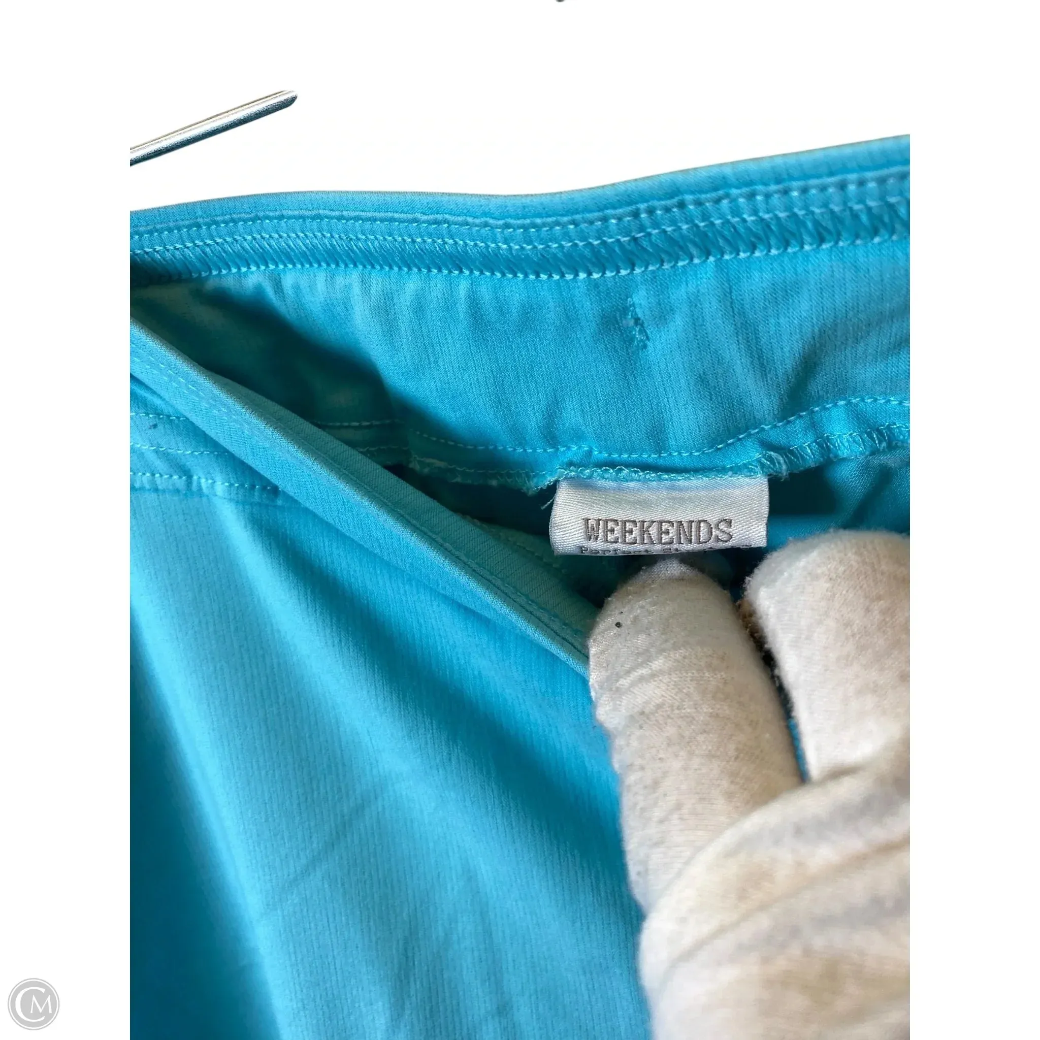Athletic Pants By Chicos In Teal, Size: L