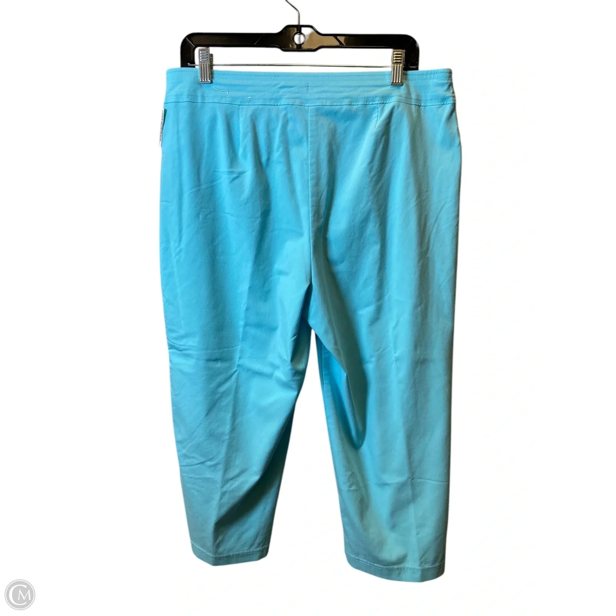 Athletic Pants By Chicos In Teal, Size: L