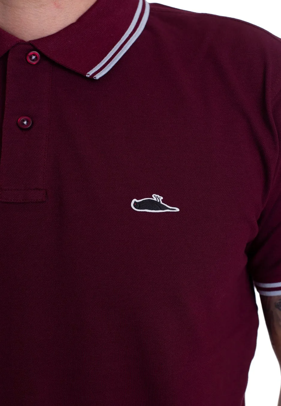 Atticus - Classic Tipped Burgundy/Sky - Polo