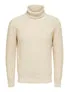 Axel Knit Roll Neck
