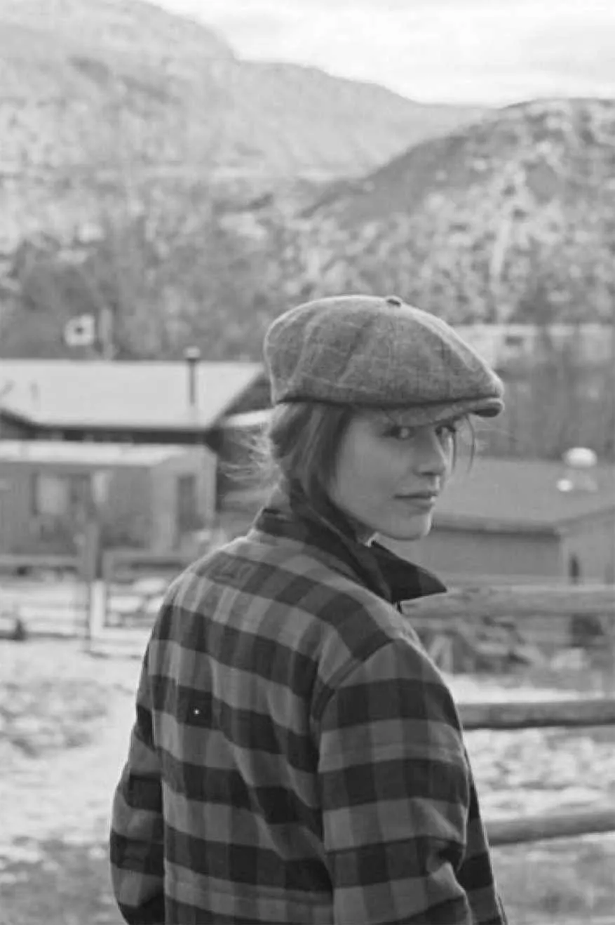 Brood Newsboy Cap - Brown/Khaki Brixton