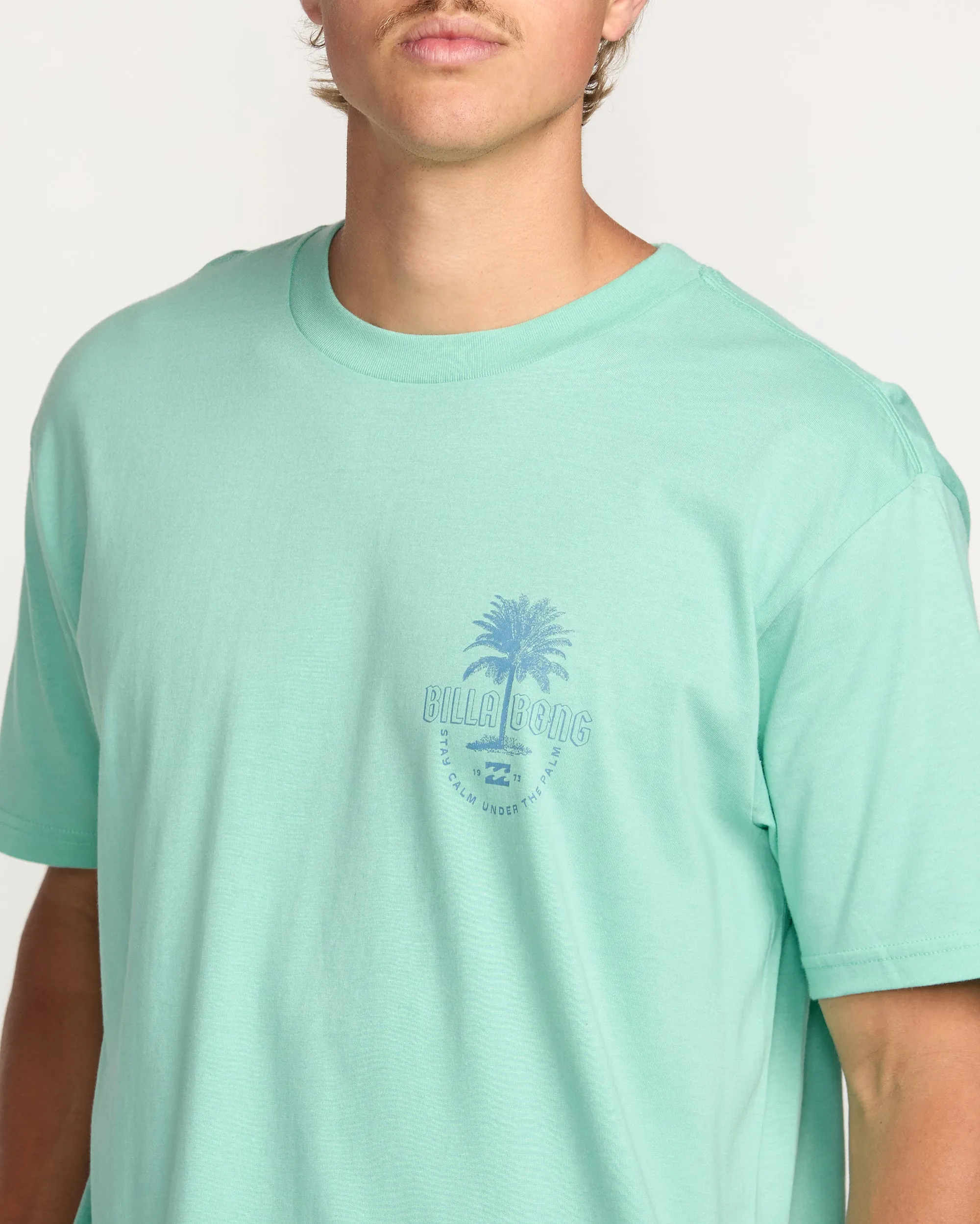 Calm Palm Premium Tee - Bermuda Billabong