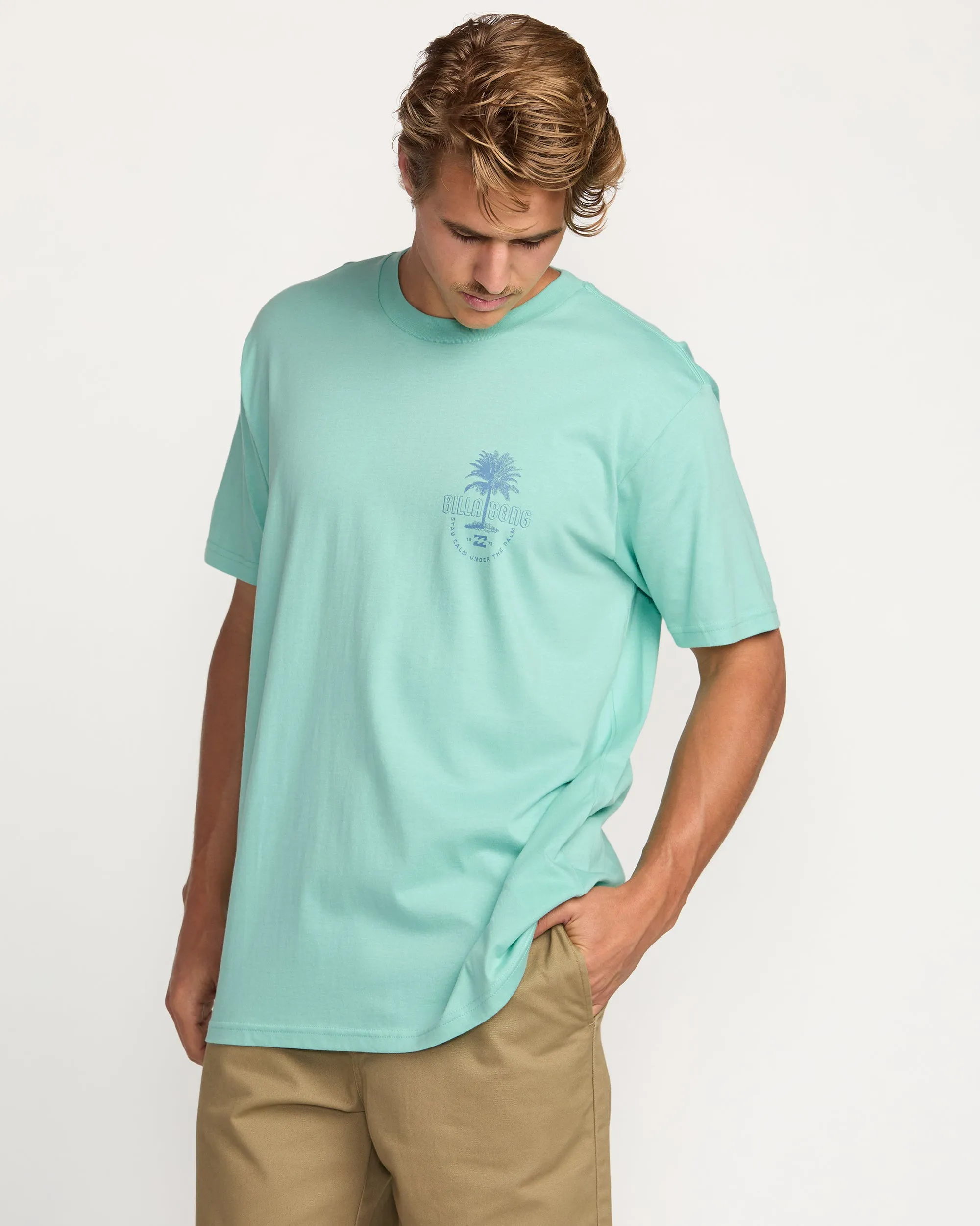 Calm Palm Premium Tee - Bermuda Billabong