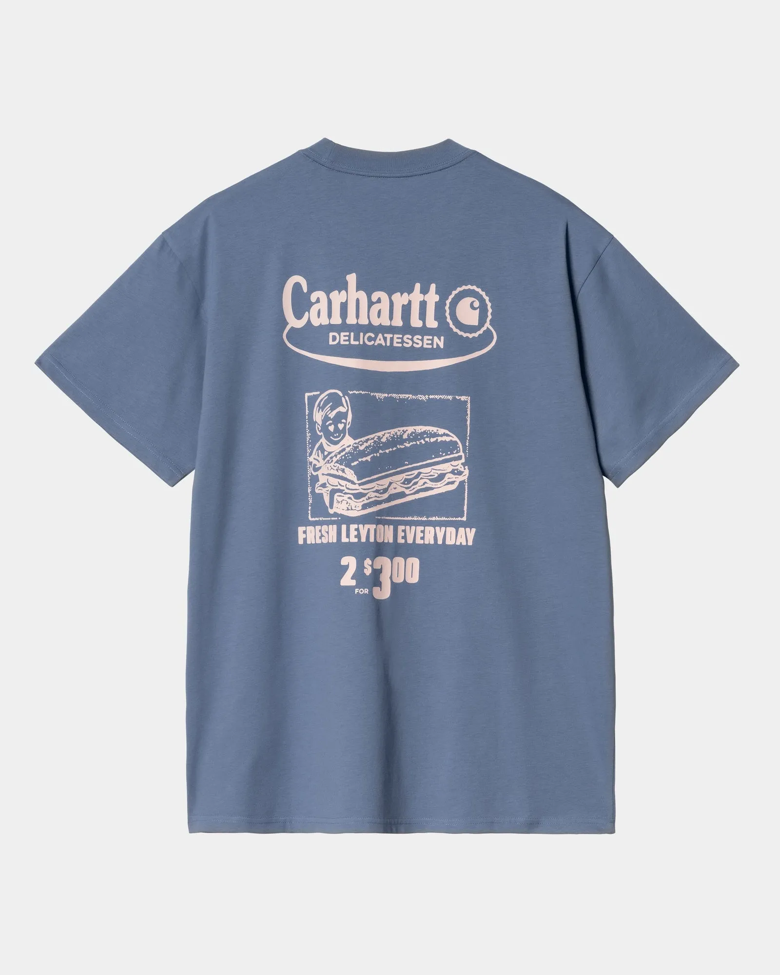 Catalogue T-Shirt | Blue Iris / Air Pink Carhartt WIP
