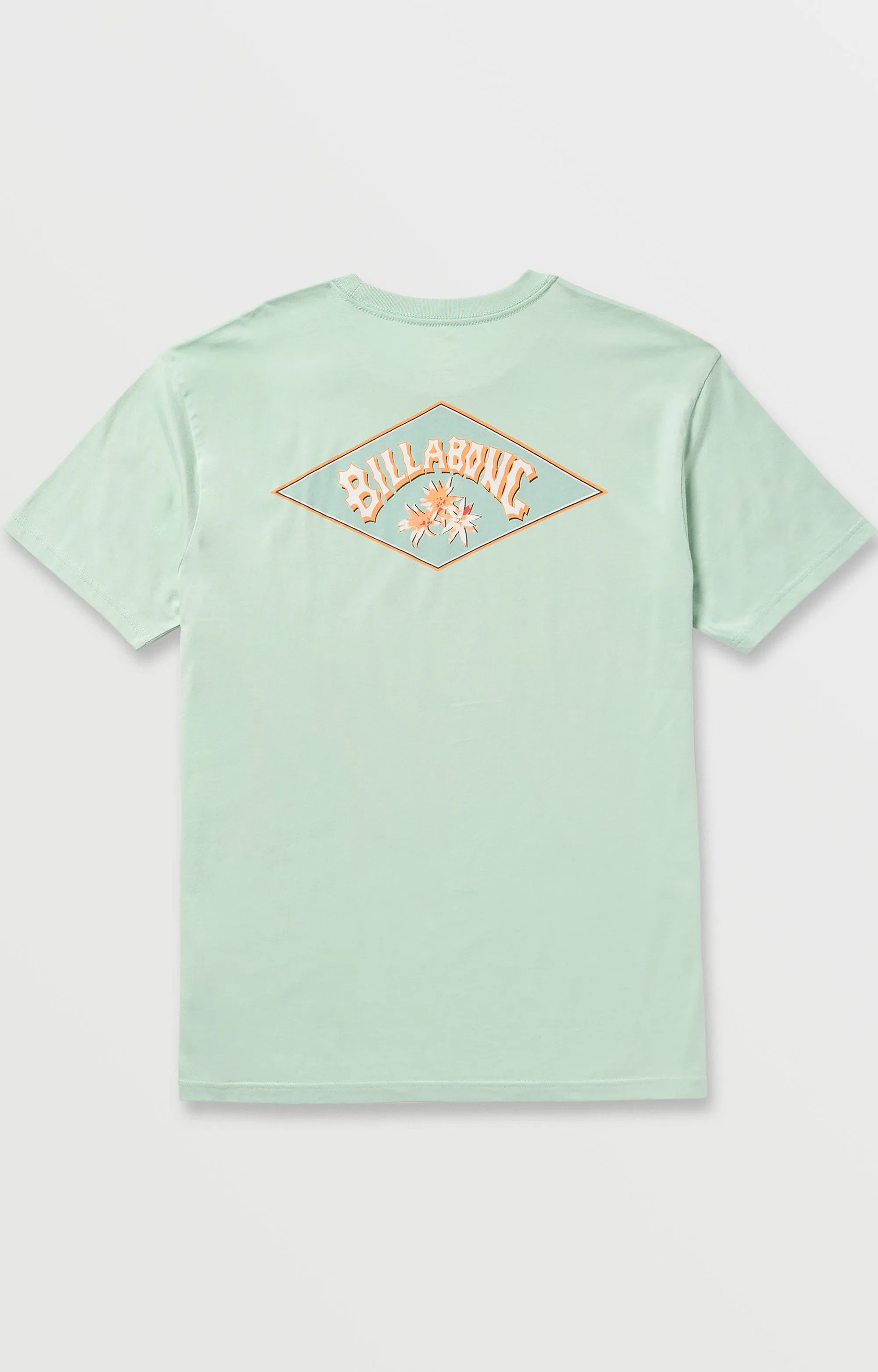 Diamond Arch Premium Tee - Seafoam Billabong