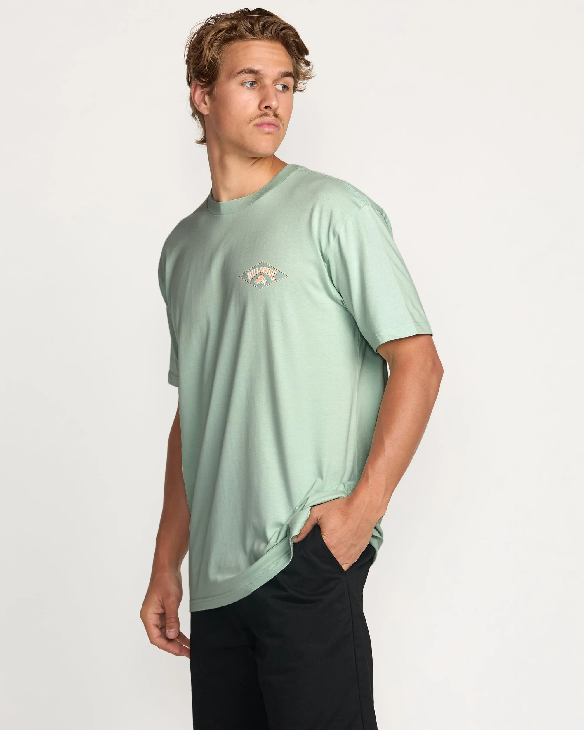 Diamond Arch Premium Tee - Seafoam Billabong