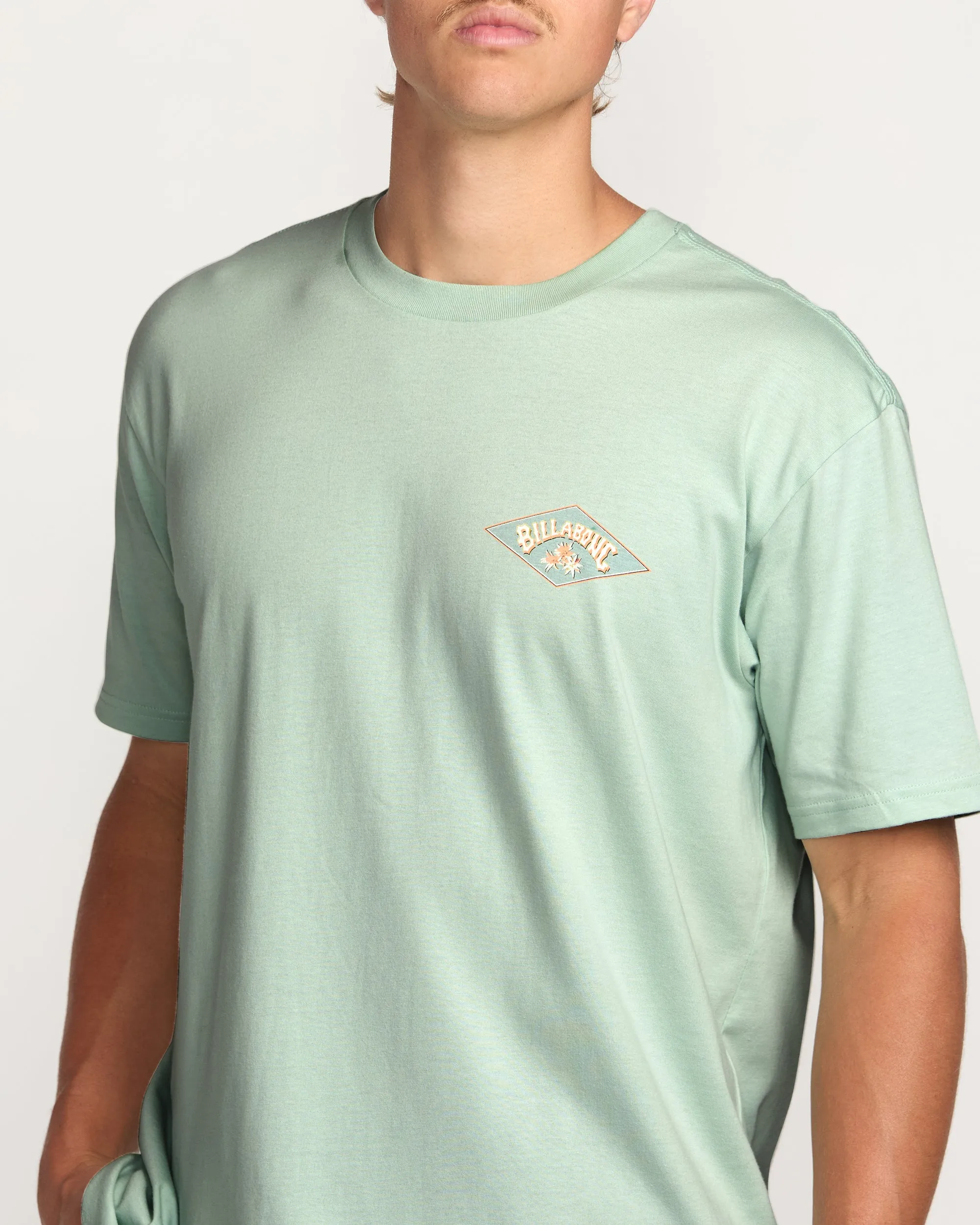 Diamond Arch Premium Tee - Seafoam Billabong