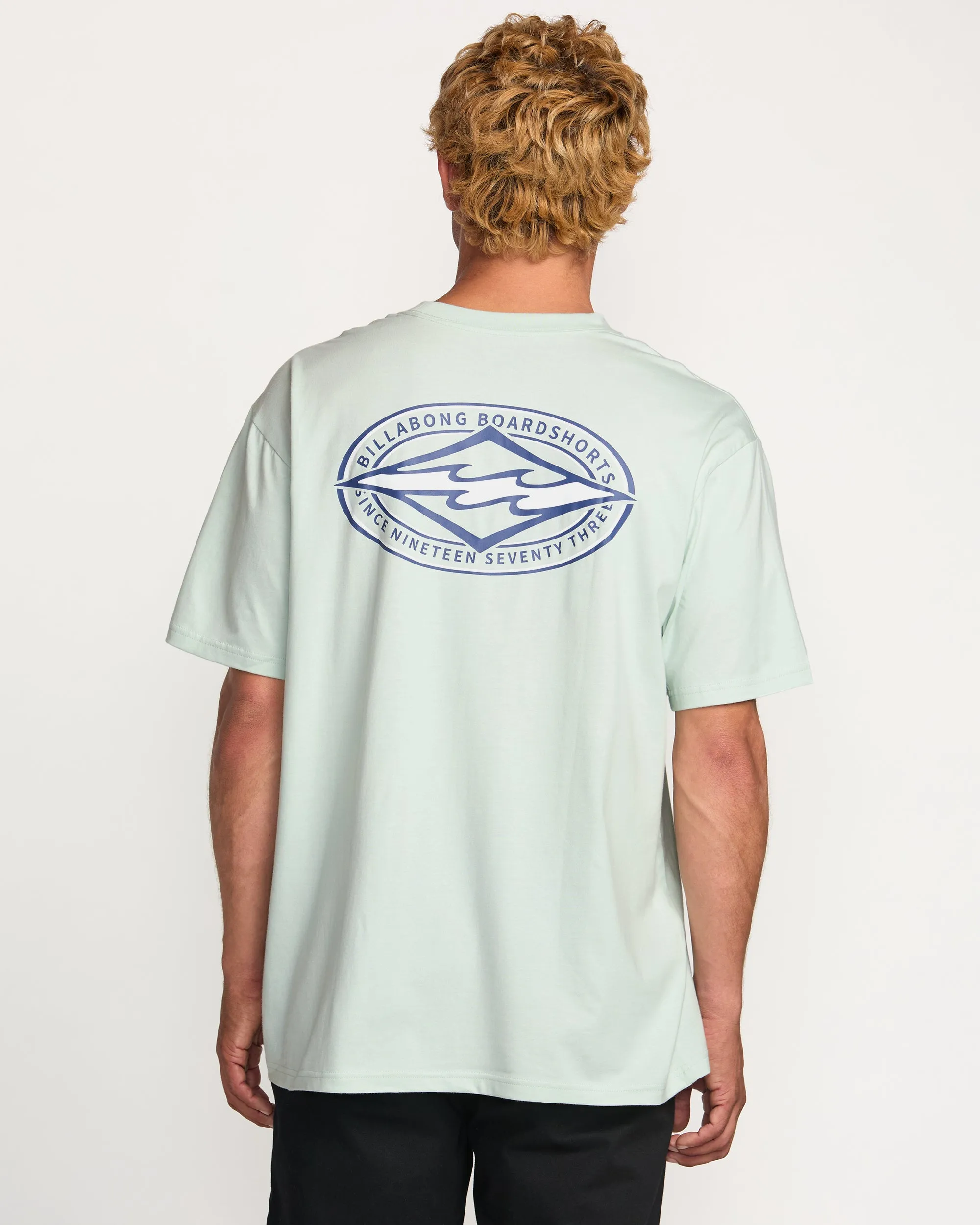Diamond Vision Regular Tee - Ash Blue Billabong