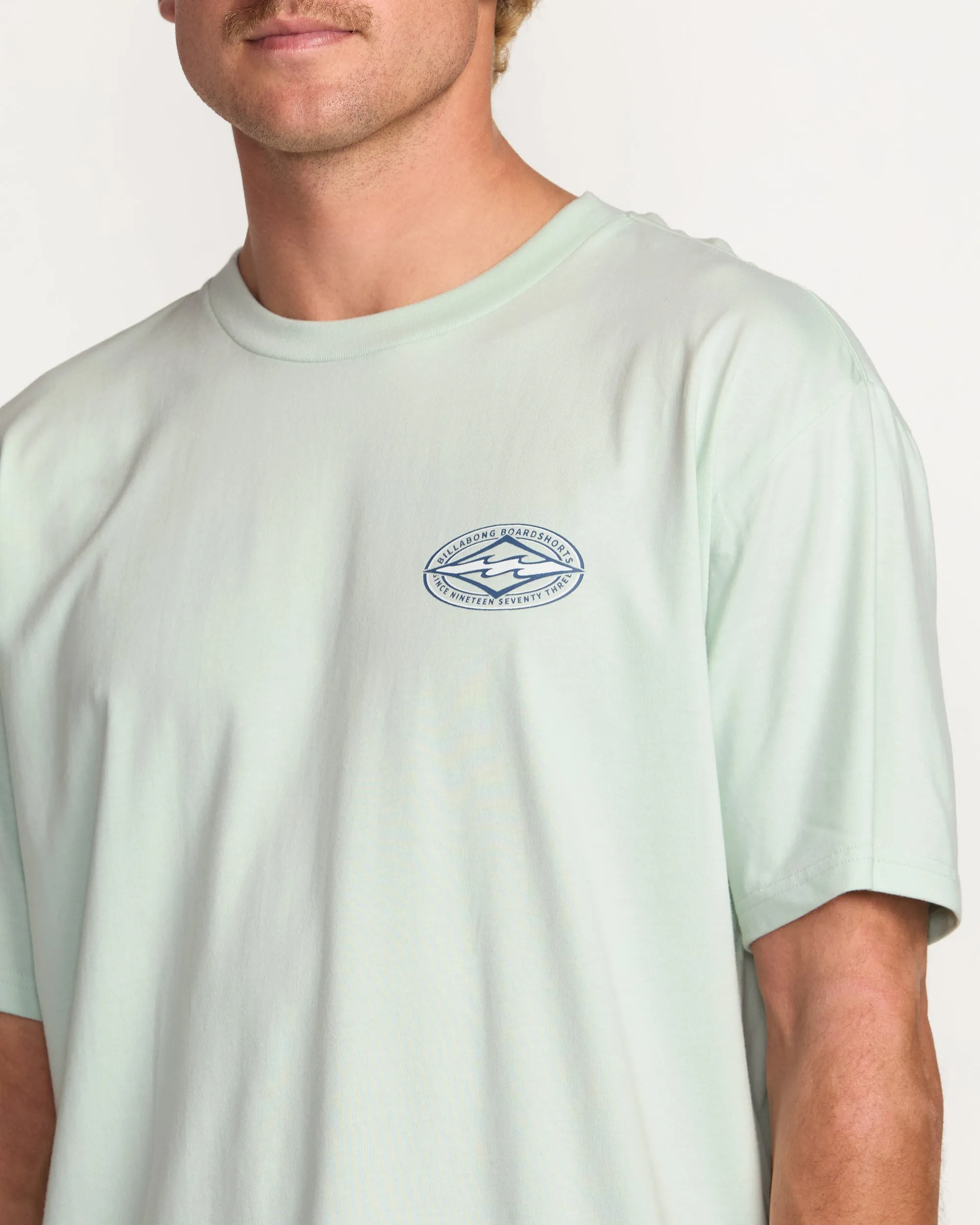 Diamond Vision Regular Tee - Ash Blue Billabong