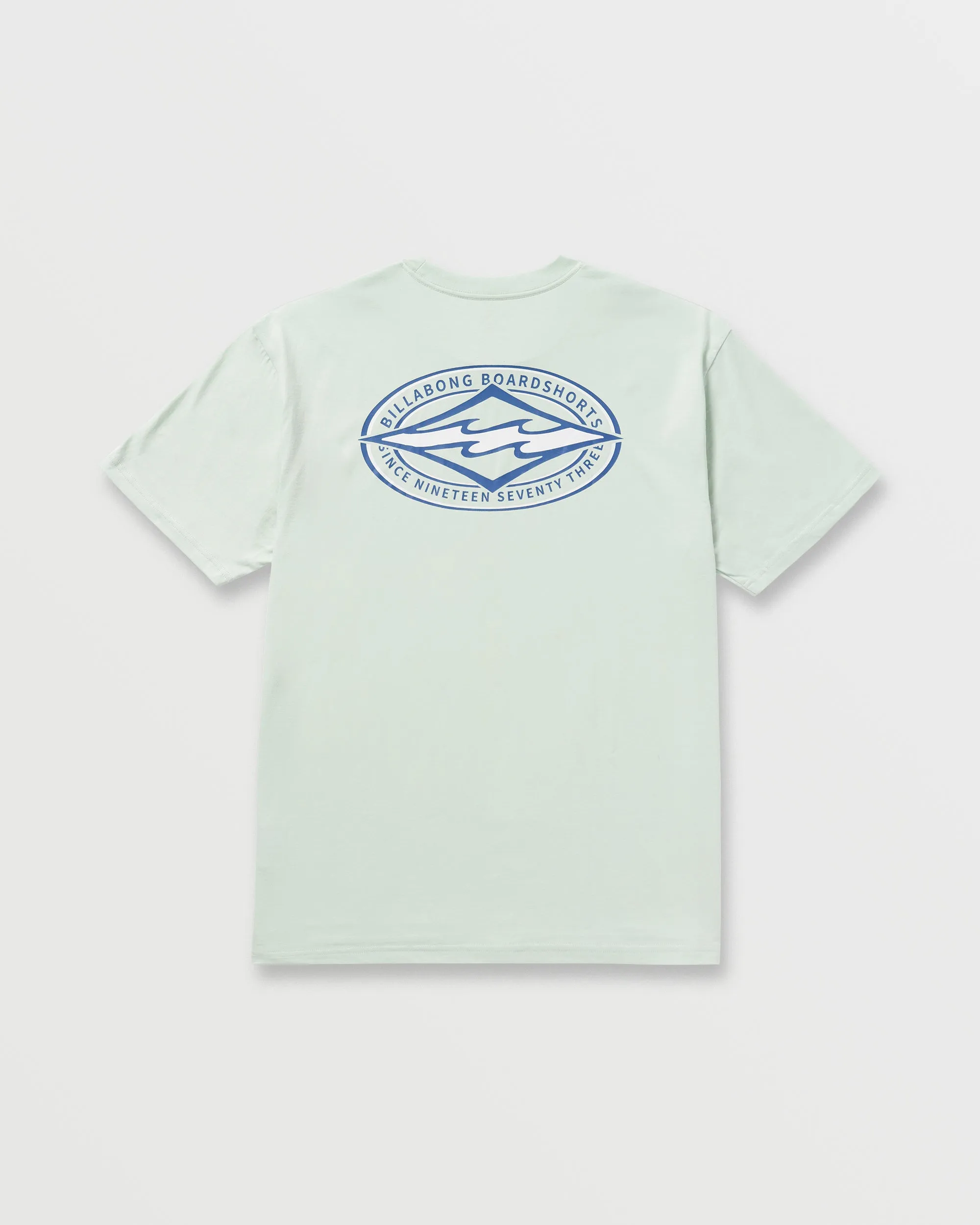Diamond Vision Regular Tee - Ash Blue Billabong