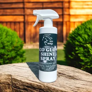 Echo Glow Shine Spray