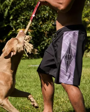 Framelines Pro Boardshorts - Black Billabong