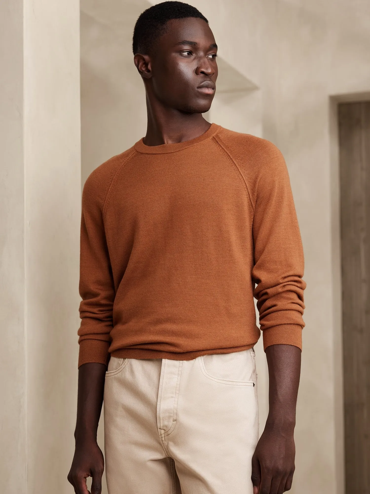 Franco Italian Merino Crew-Neck Sweater Banana Republic