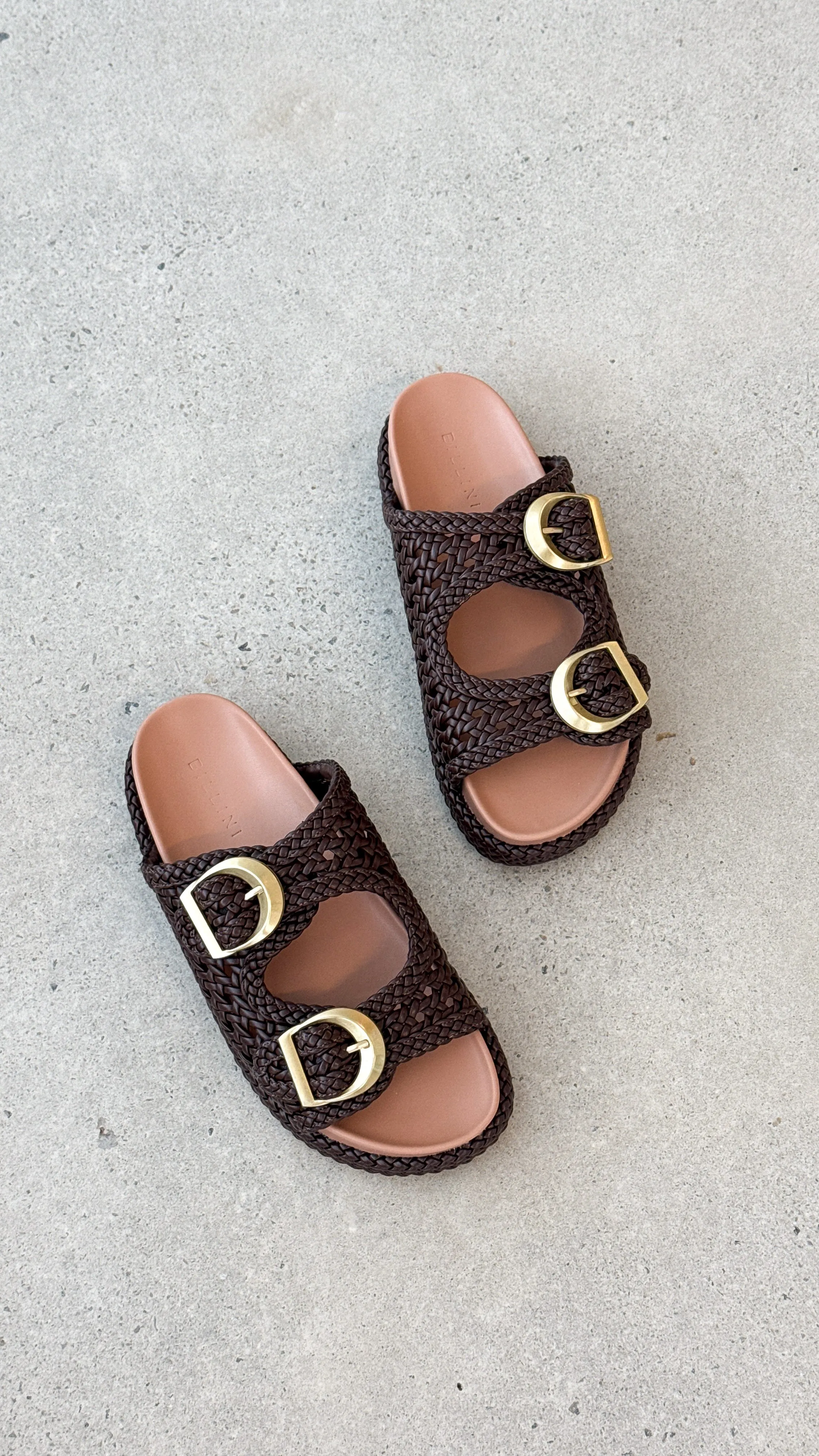 Gisella Slide - Hickory Billy J