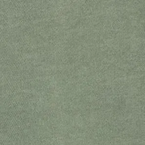 Hooded Nelson Sweatshirt | Park Carhartt WIP