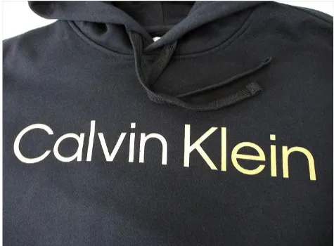 Long Sleeves Metallic Logo Po Hoodie