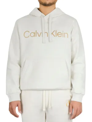 Long Sleeves Metallic Logo Po Hoodie