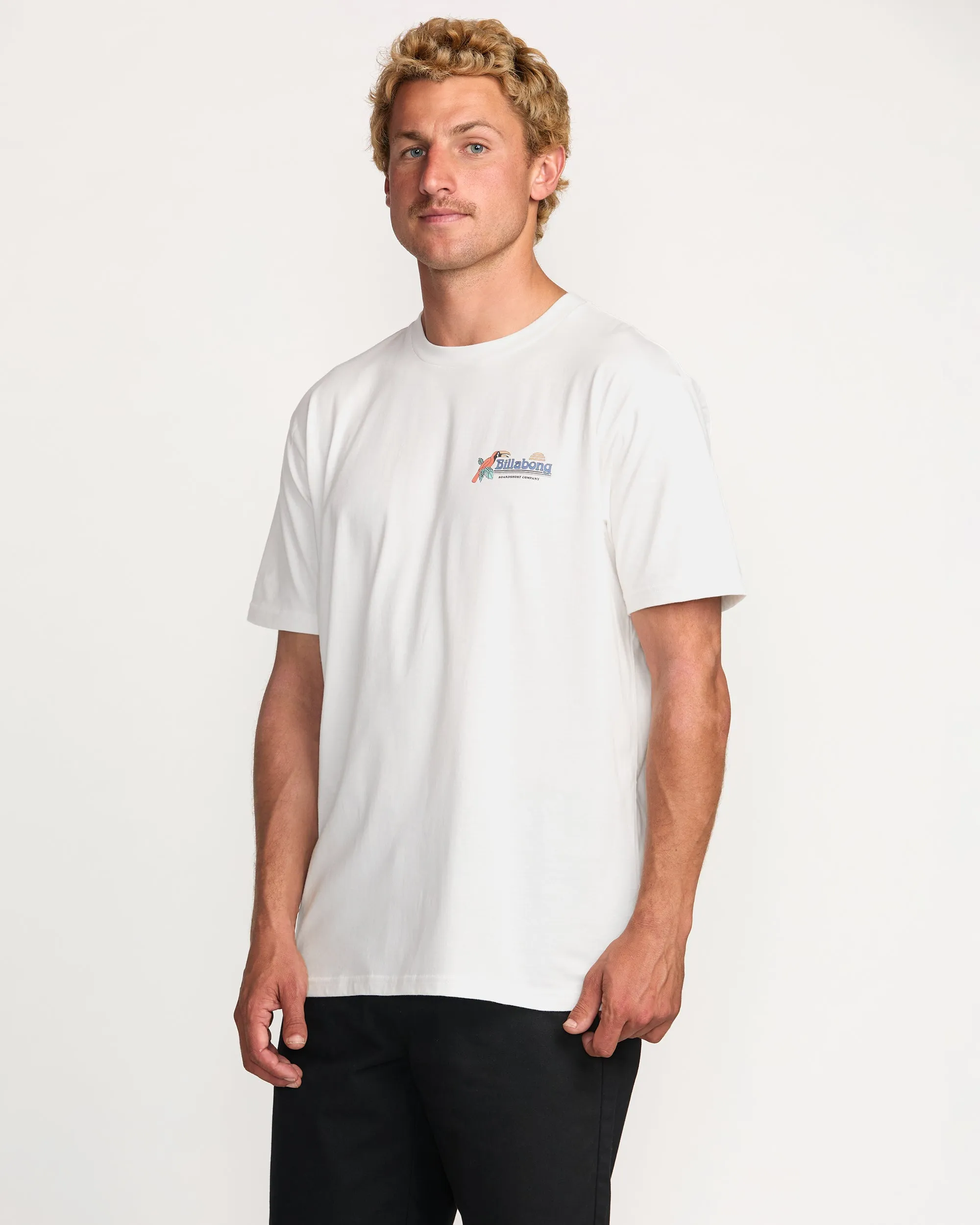 Lounge Premium Tee - Off White Billabong