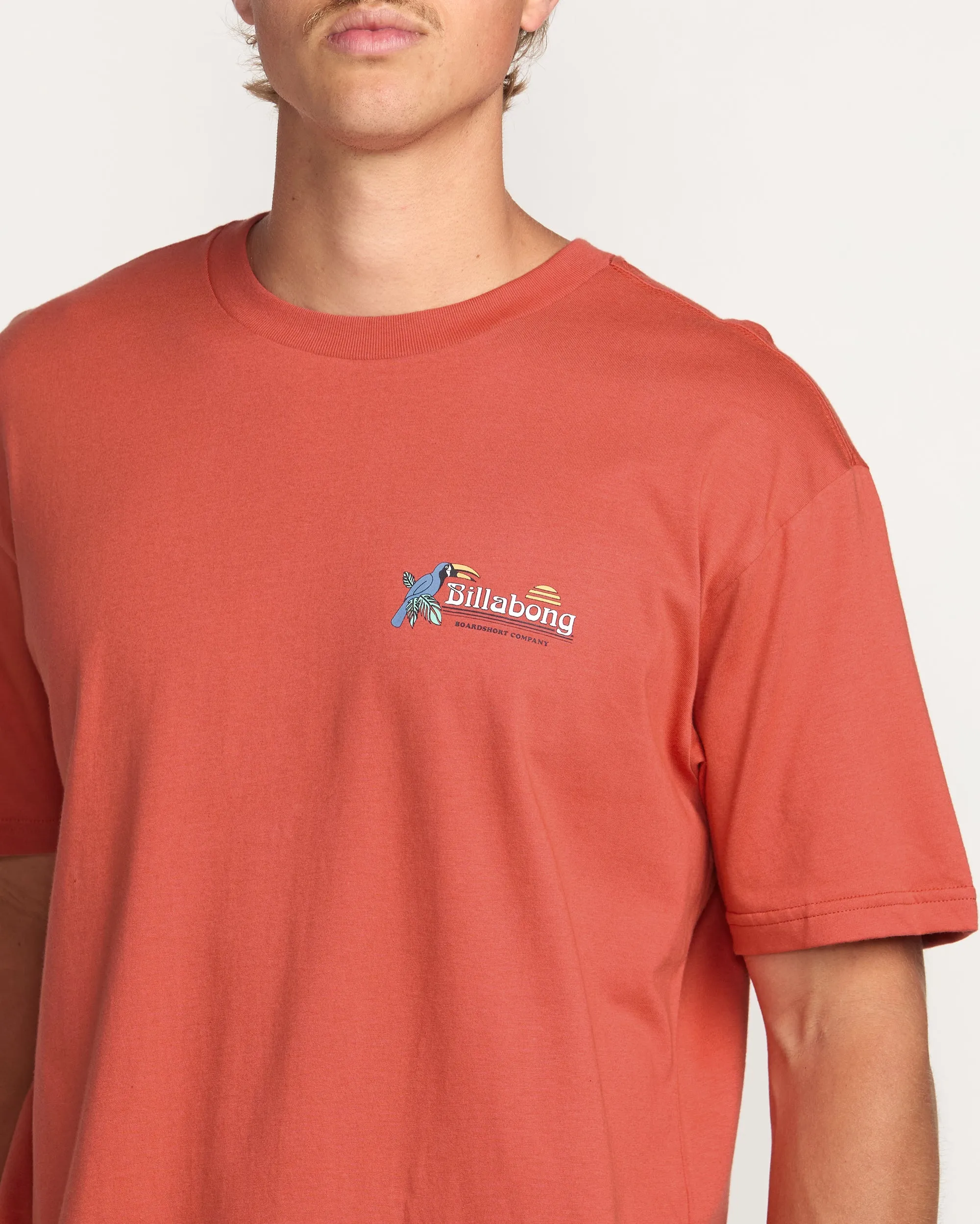 Lounge Premium Tee - Washed Red Billabong