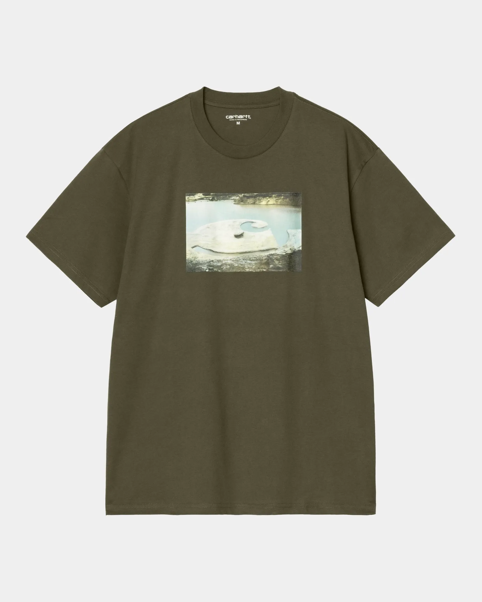 Muddy Water T-Shirt | Turtle Carhartt WIP