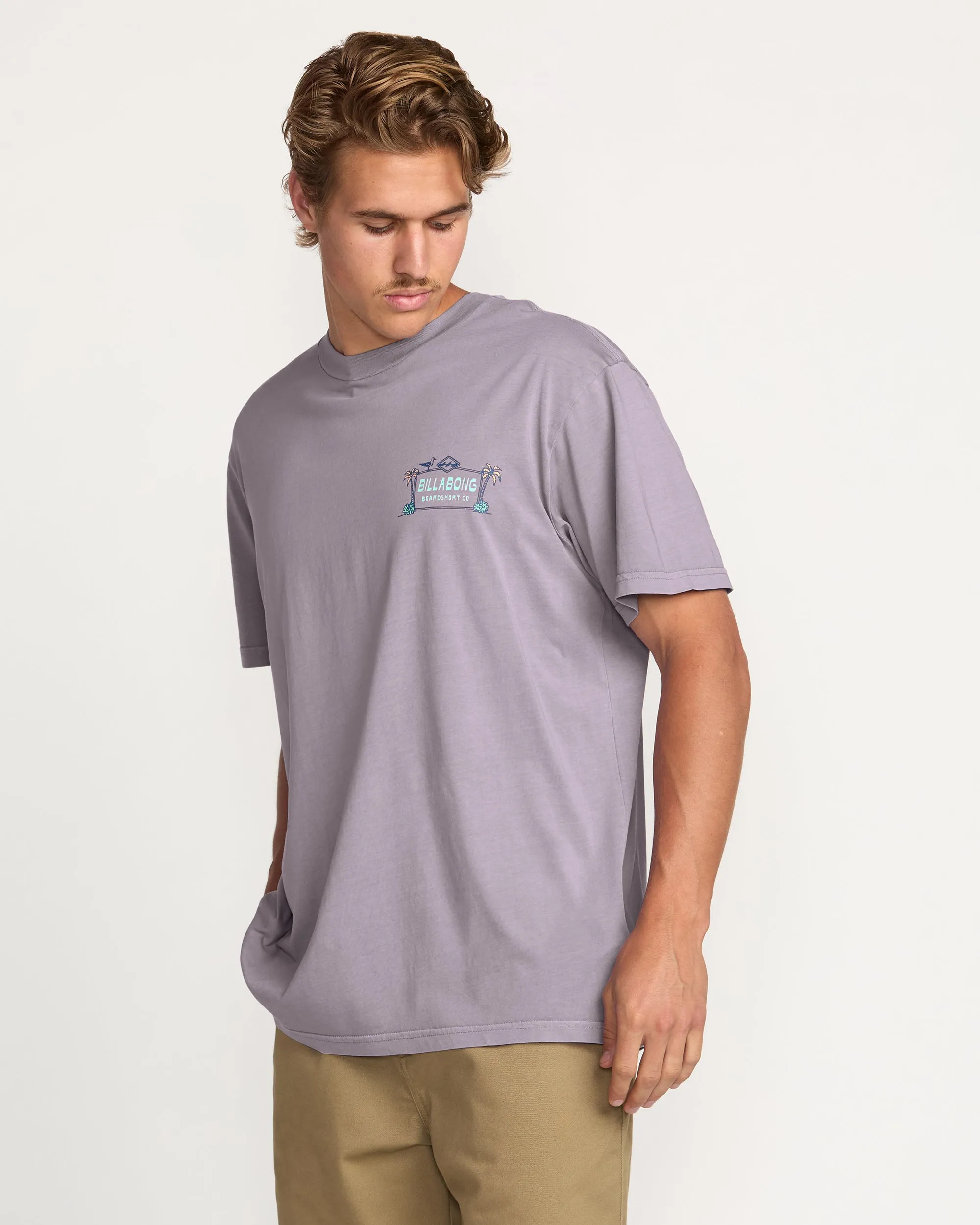 No Vacancy Premium Wave Wash Tee - Light Purple Billabong