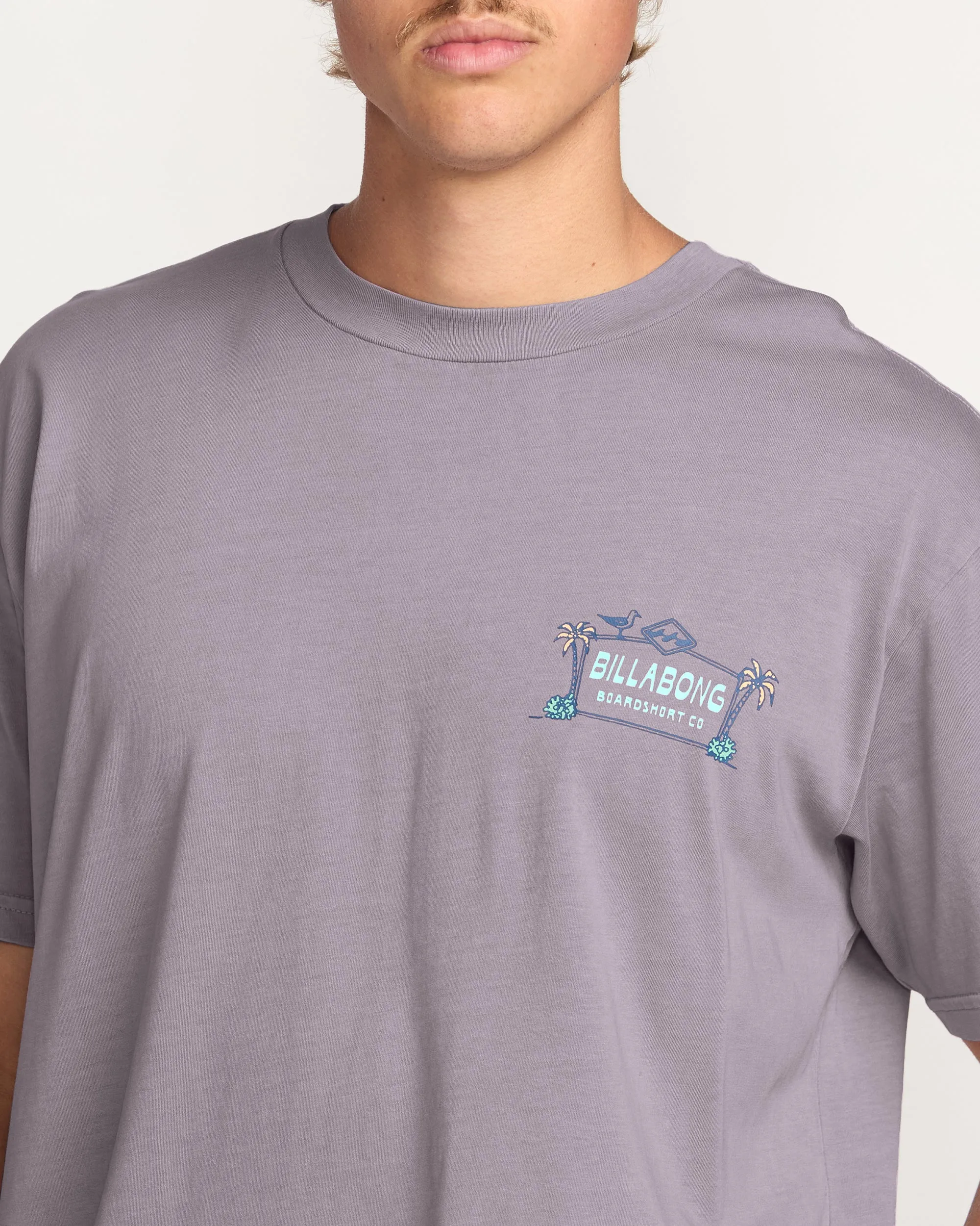 No Vacancy Premium Wave Wash Tee - Light Purple Billabong