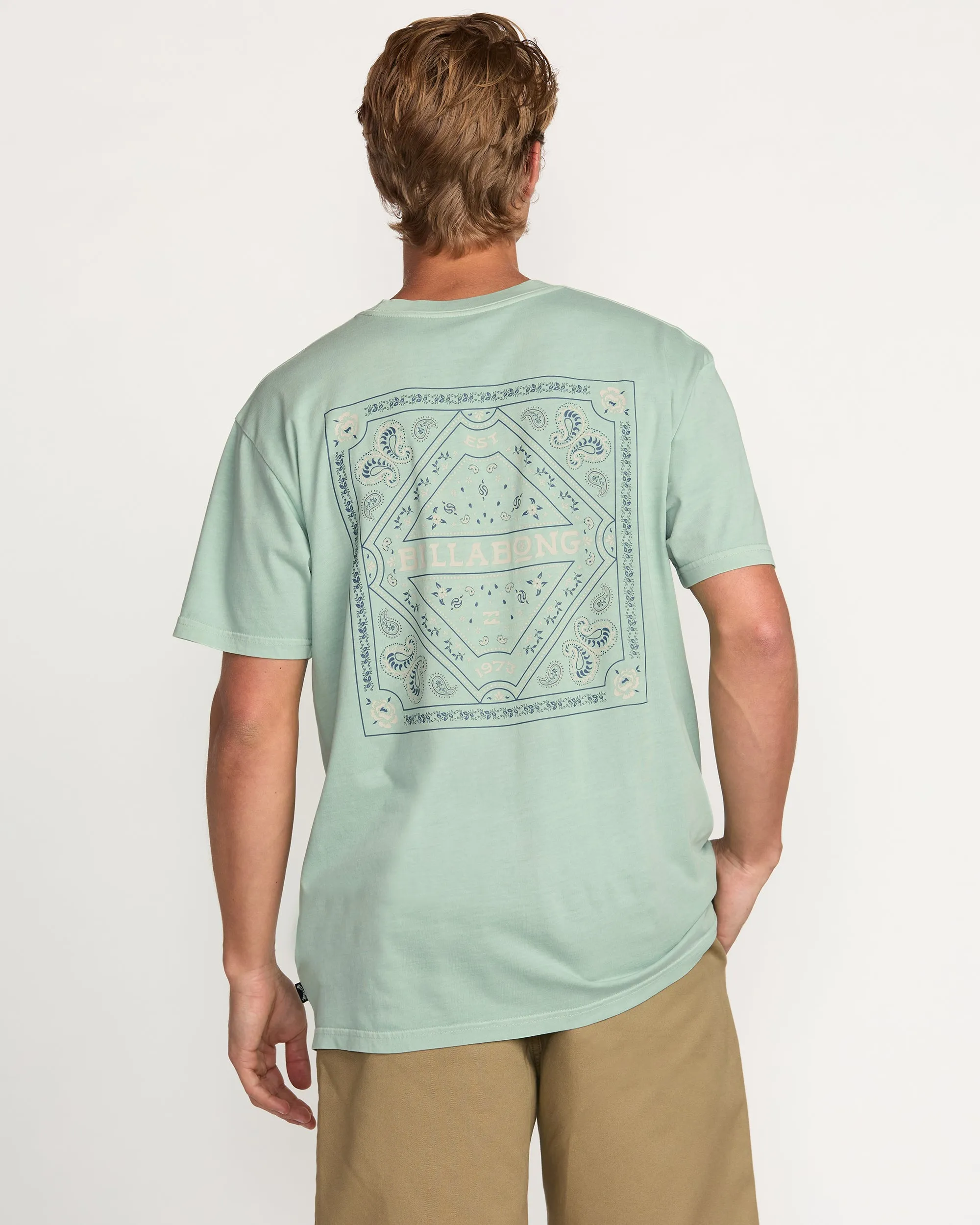 Paise Haze Premium Wave Wash Tee - Mist Green Billabong