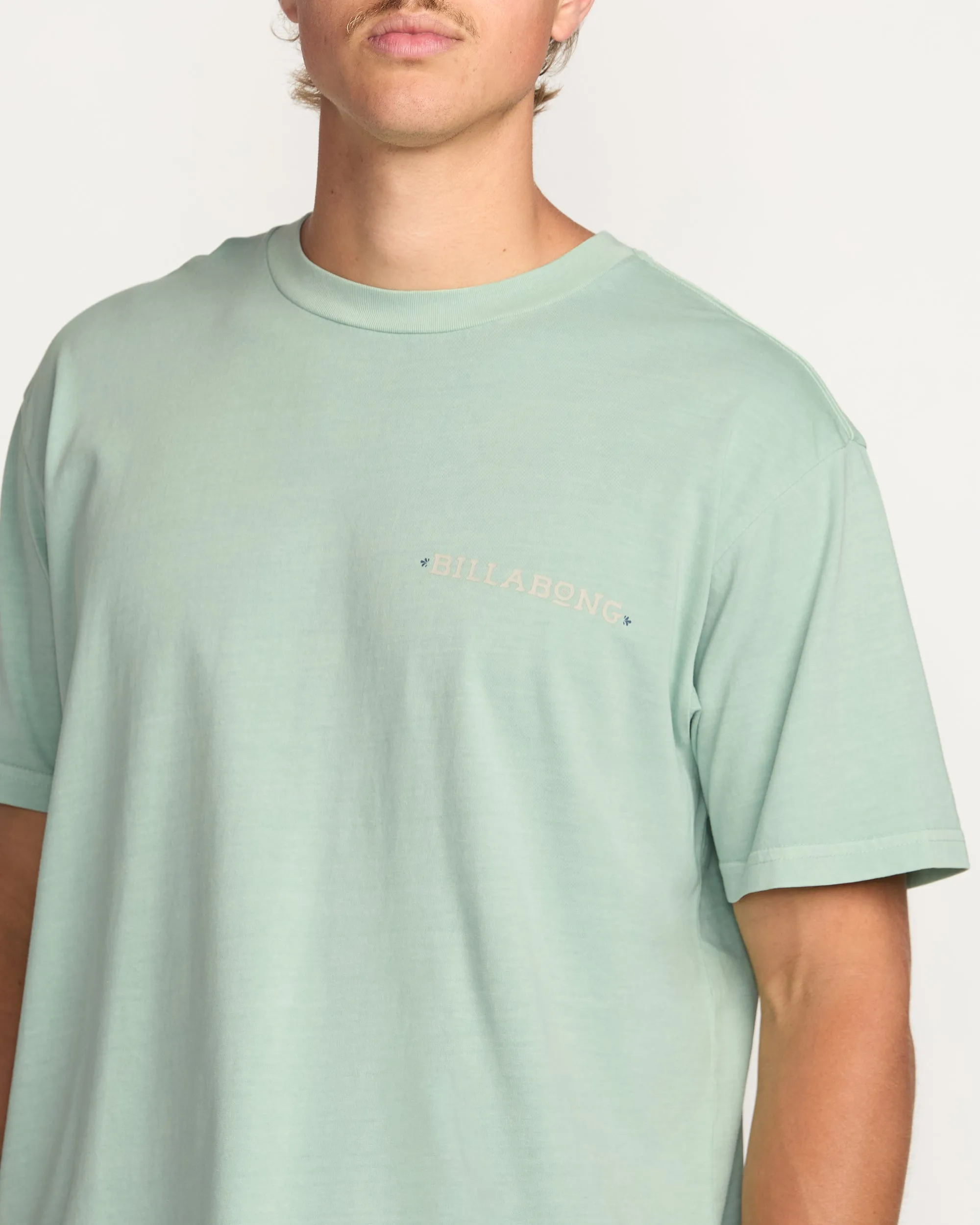 Paise Haze Premium Wave Wash Tee - Mist Green Billabong