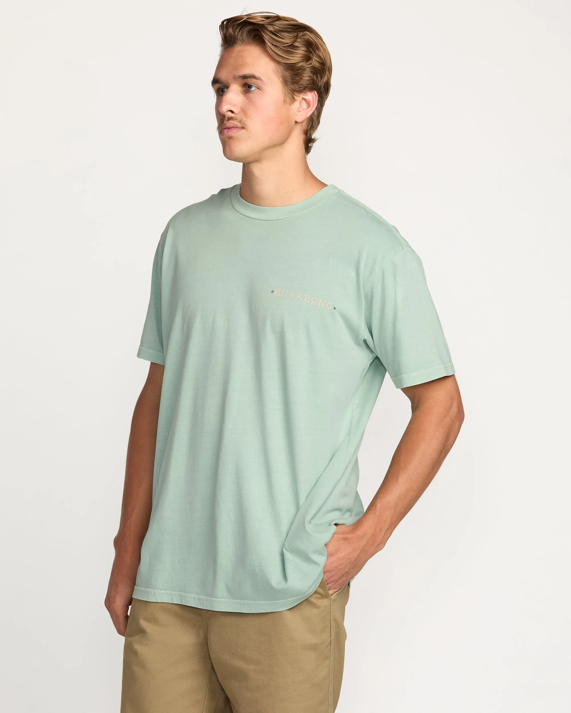 Paise Haze Premium Wave Wash Tee - Mist Green Billabong