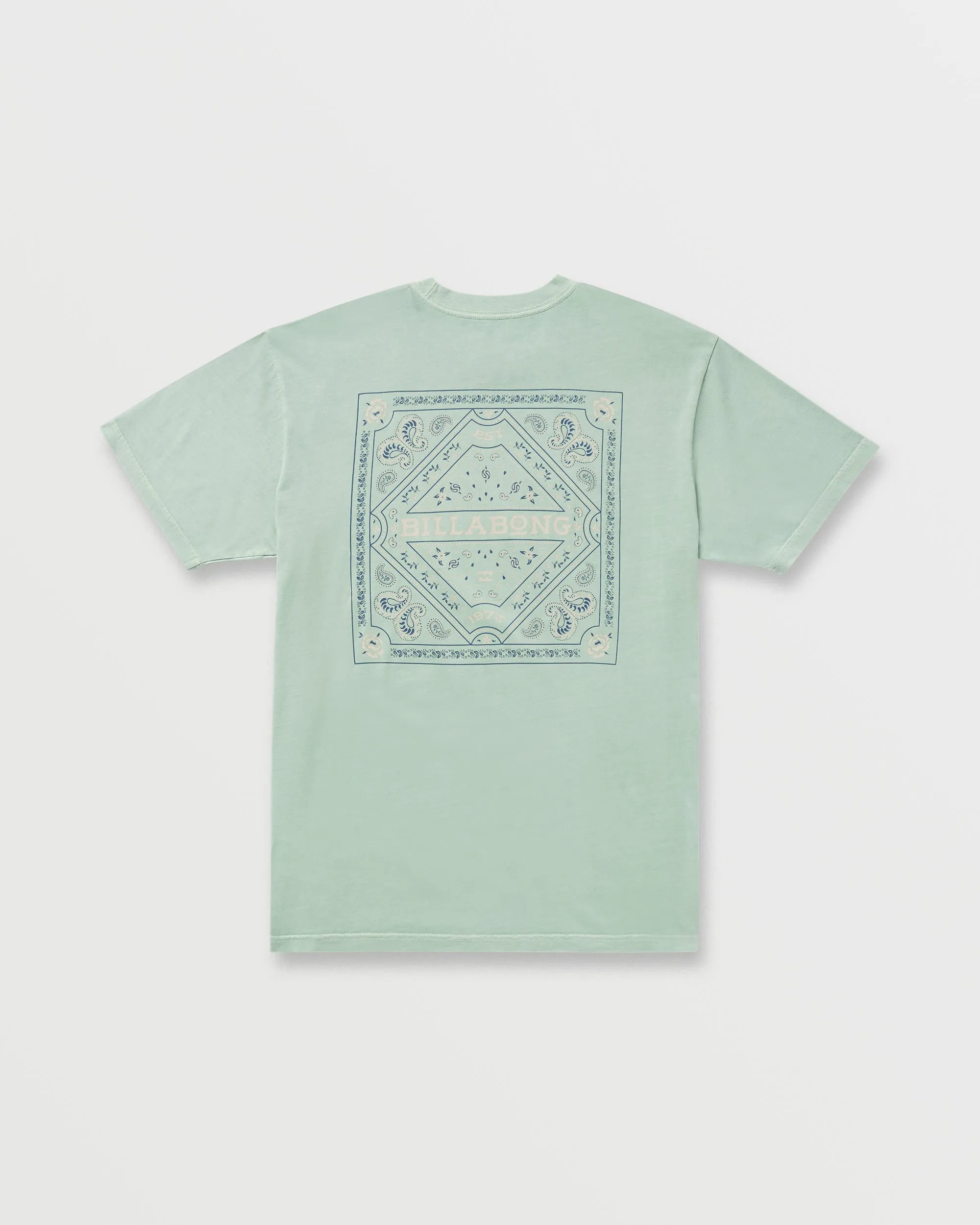 Paise Haze Premium Wave Wash Tee - Mist Green Billabong