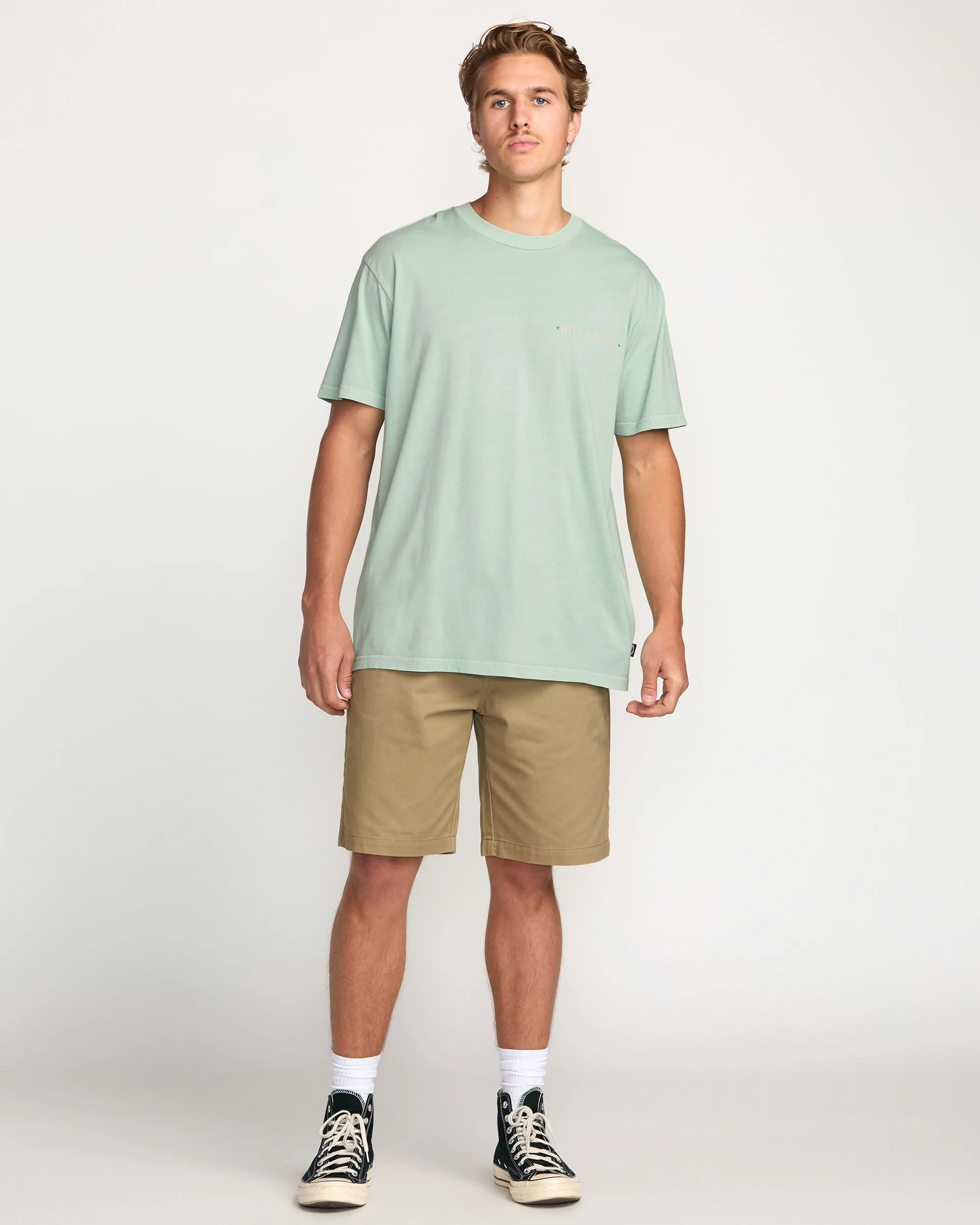 Paise Haze Premium Wave Wash Tee - Mist Green Billabong