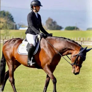 Quarter Mark Pro Spray echo horse