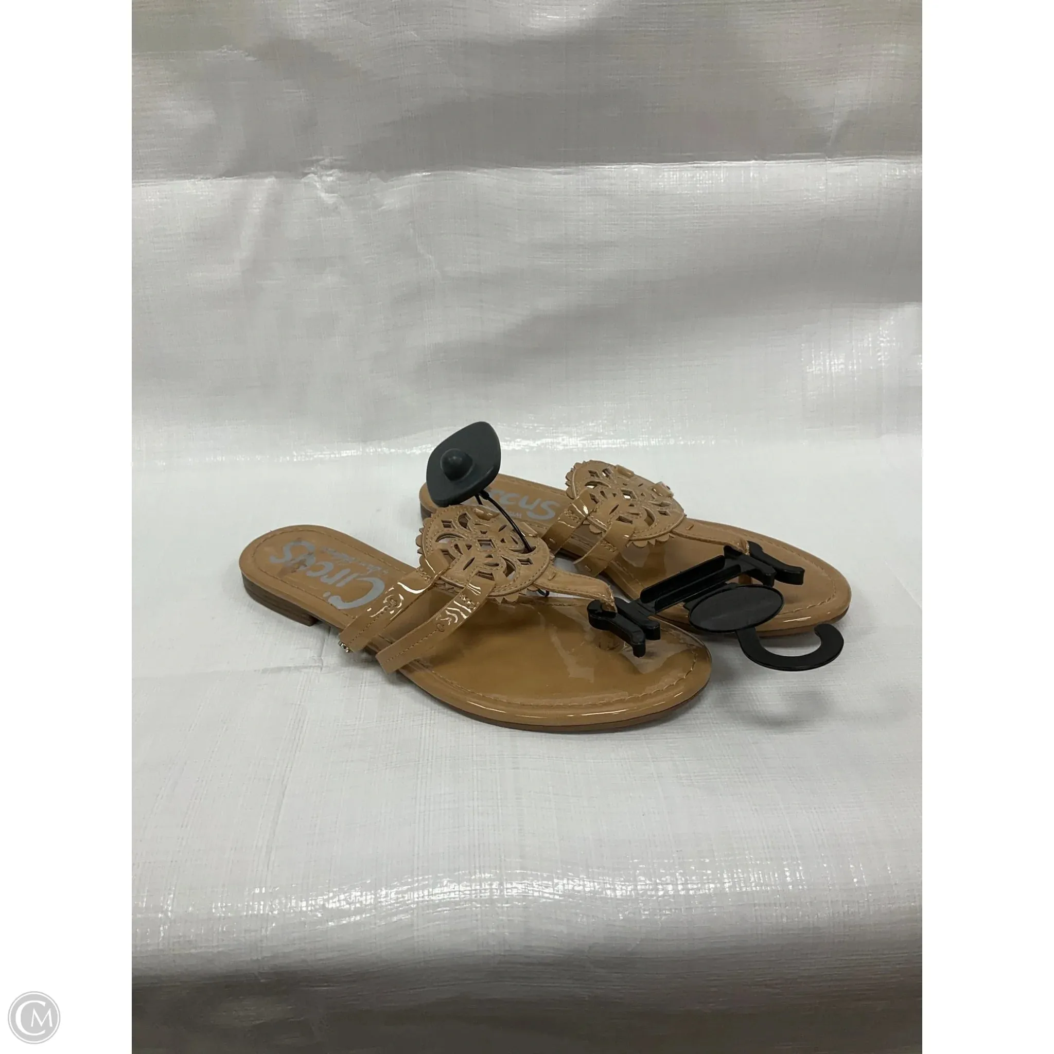 Sandals Flip Flops By Circus By Sam Edelman In Tan, Size: 7.5