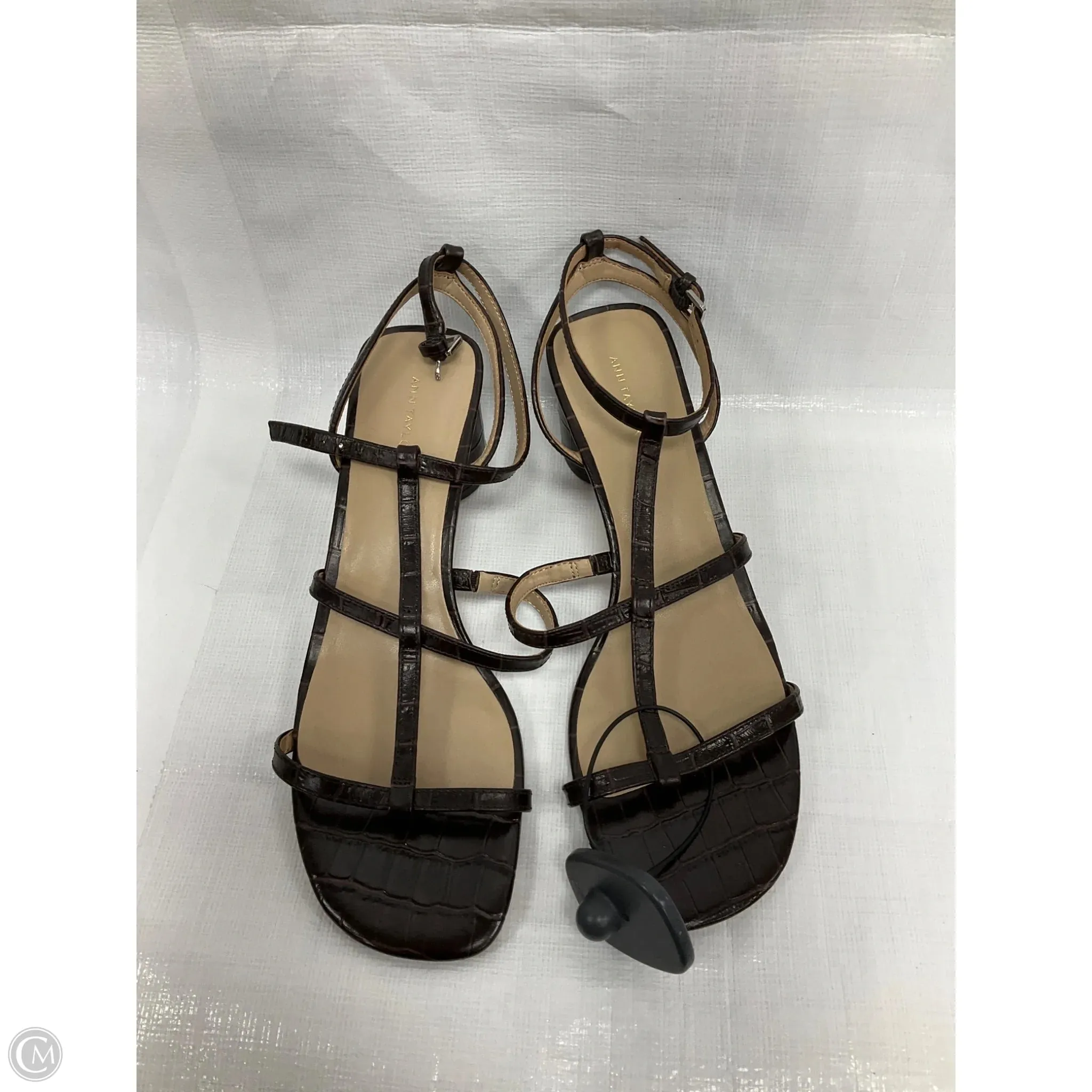 Sandals Heels Block By Ann Taylor In Brown, Size: 9.5