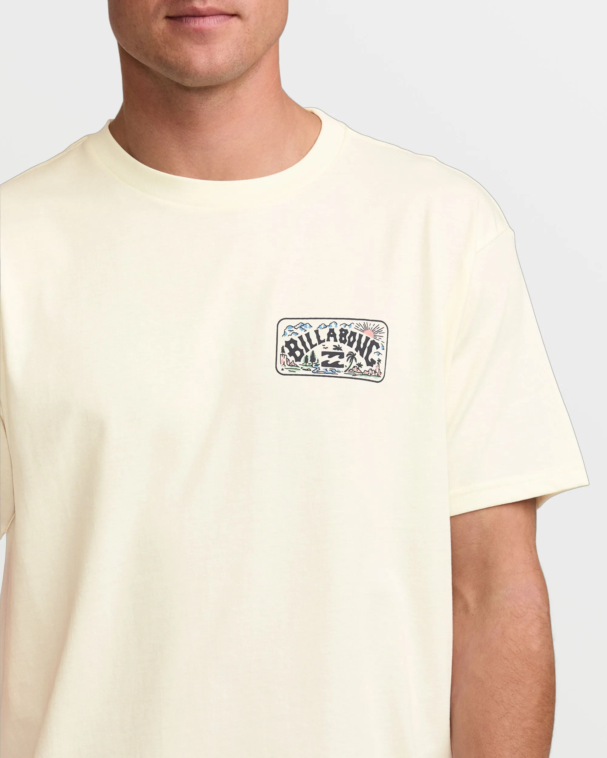 Scenic Arch A/Div Tee - Off White Billabong