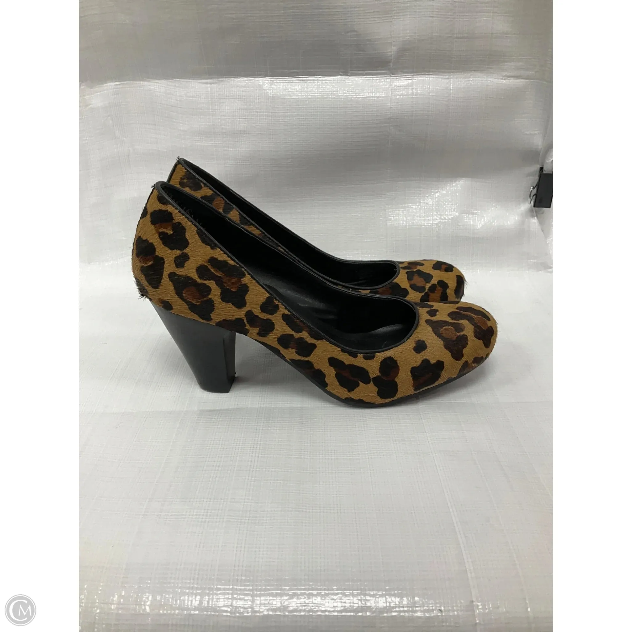 Shoes Heels Kitten By Bcbg In Animal Print, Size: 7.5