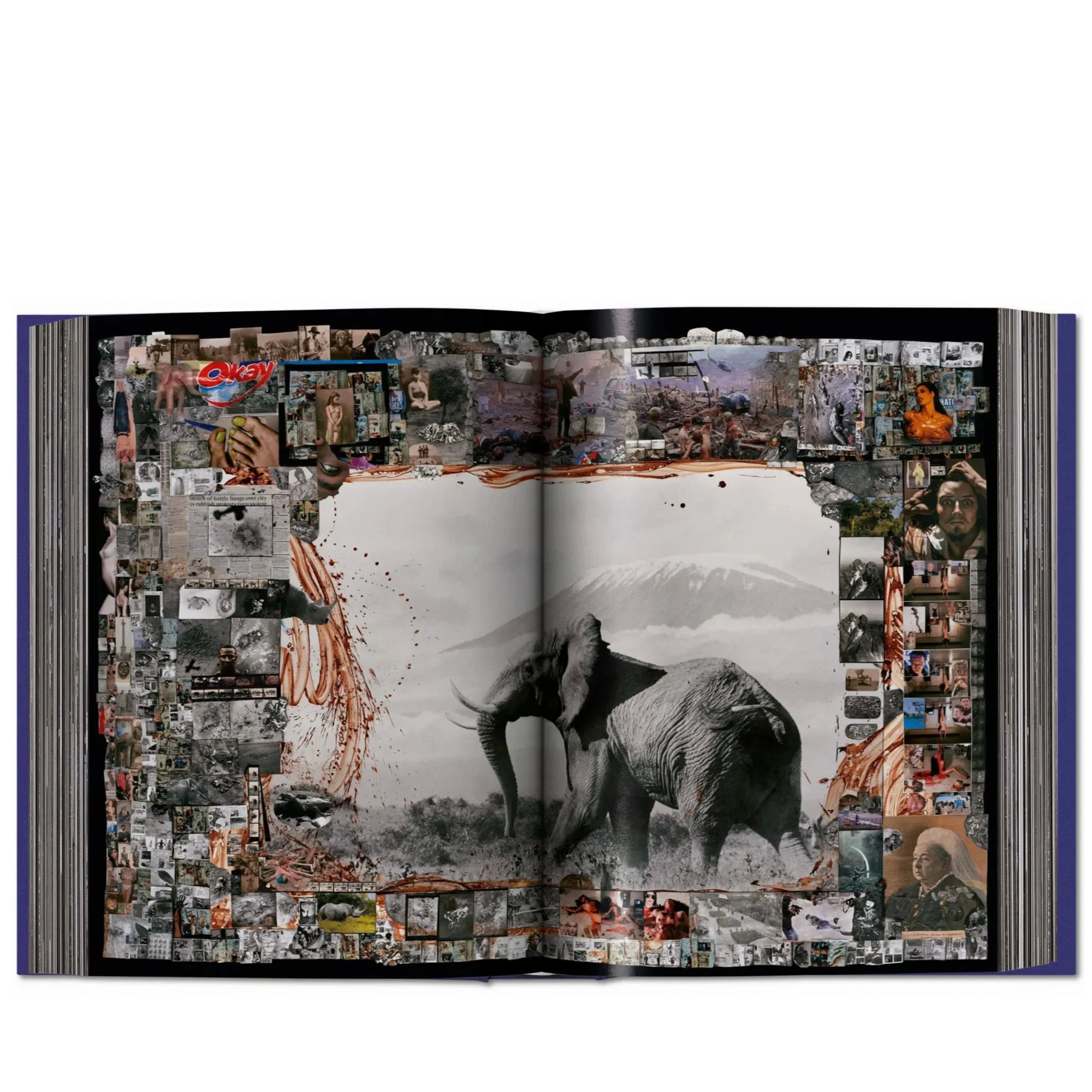 Taschen Peter Beard