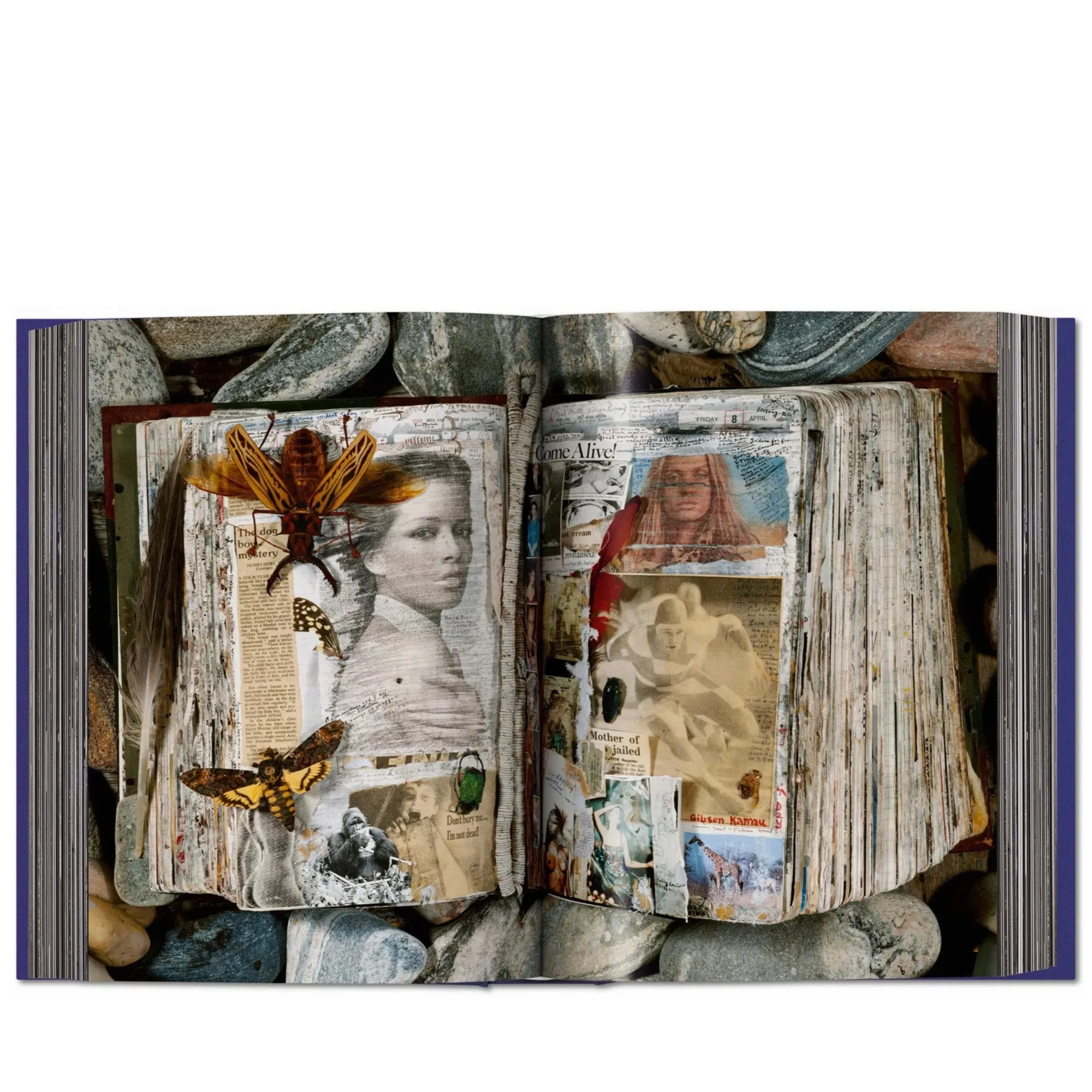 Taschen Peter Beard