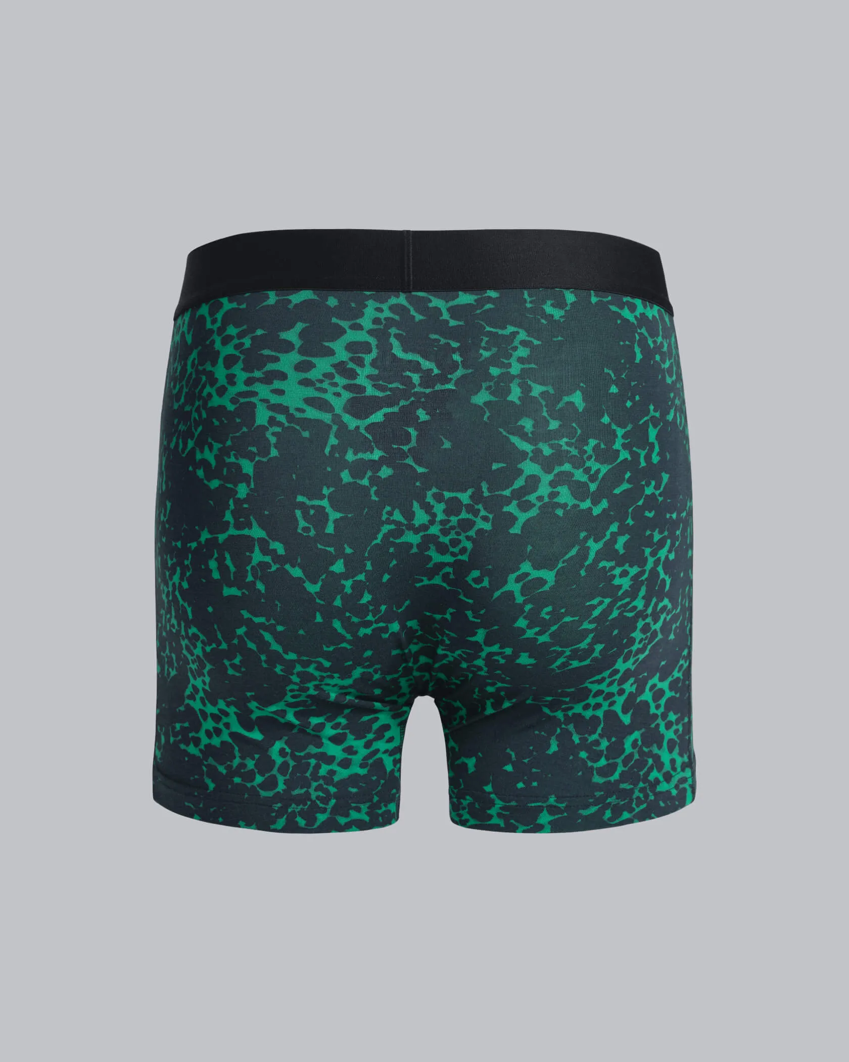 Underdog Boxer Brief Municipal
