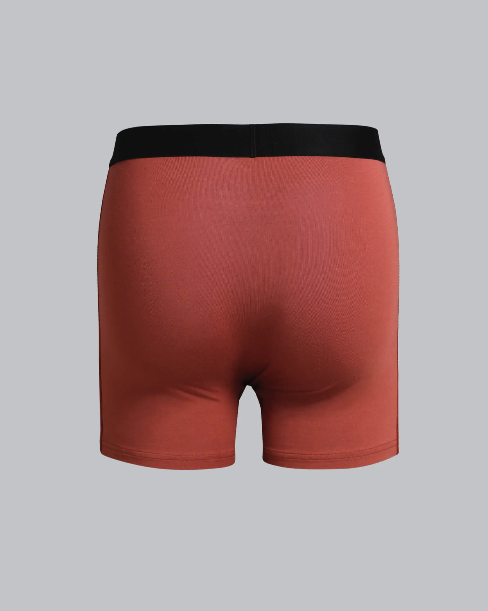 Underdog Boxer Brief Municipal