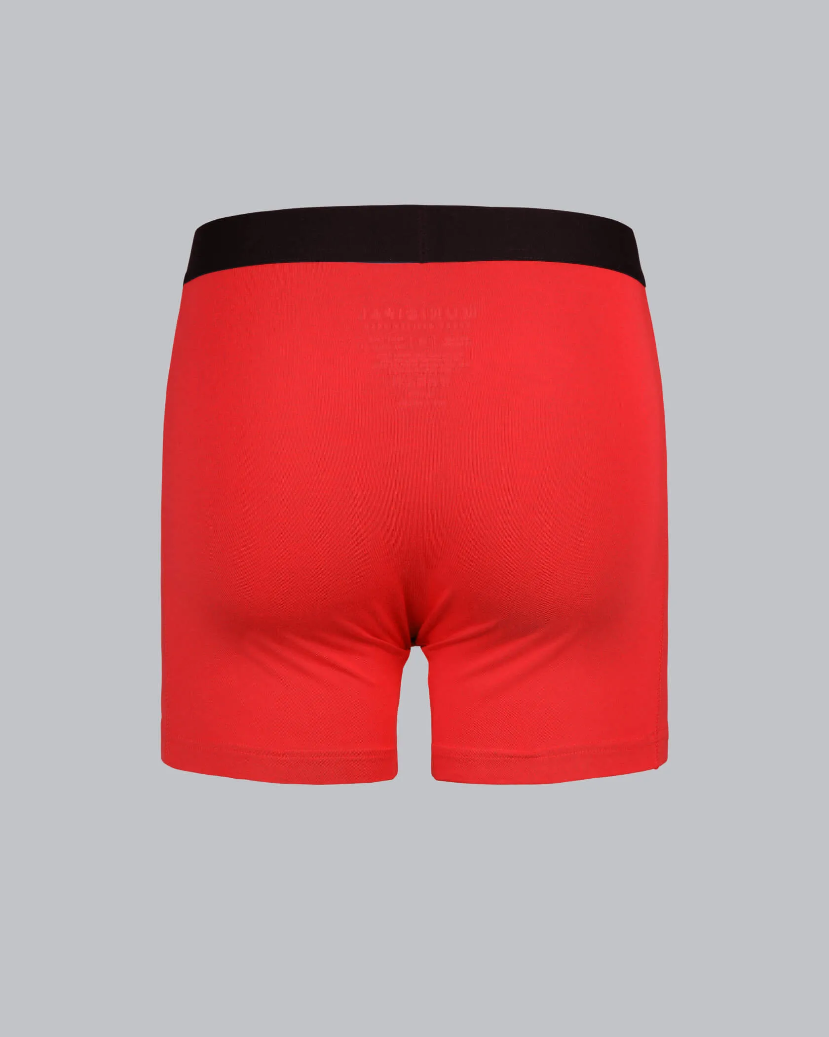Underdog Boxer Brief Municipal