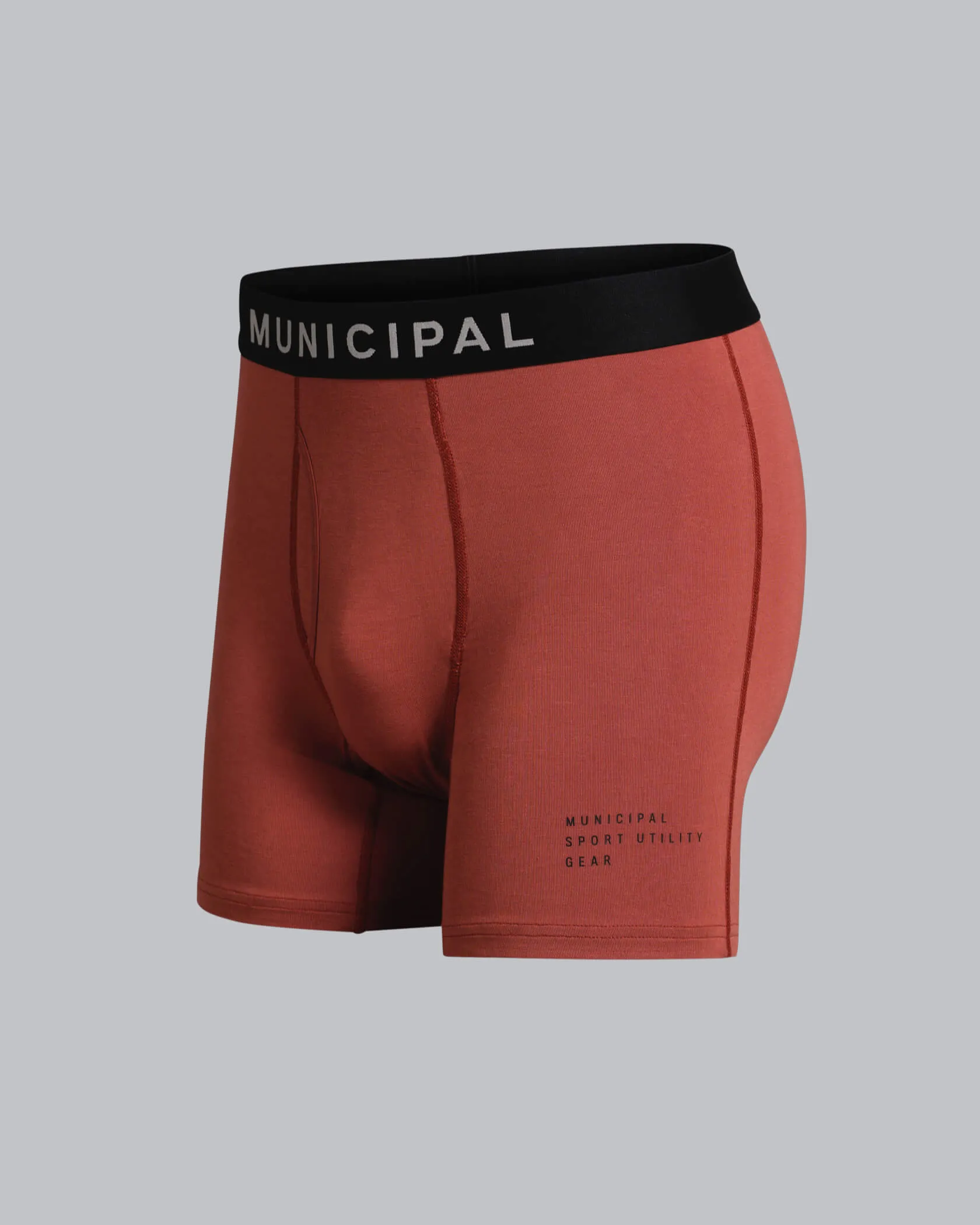 Underdog Boxer Brief Municipal