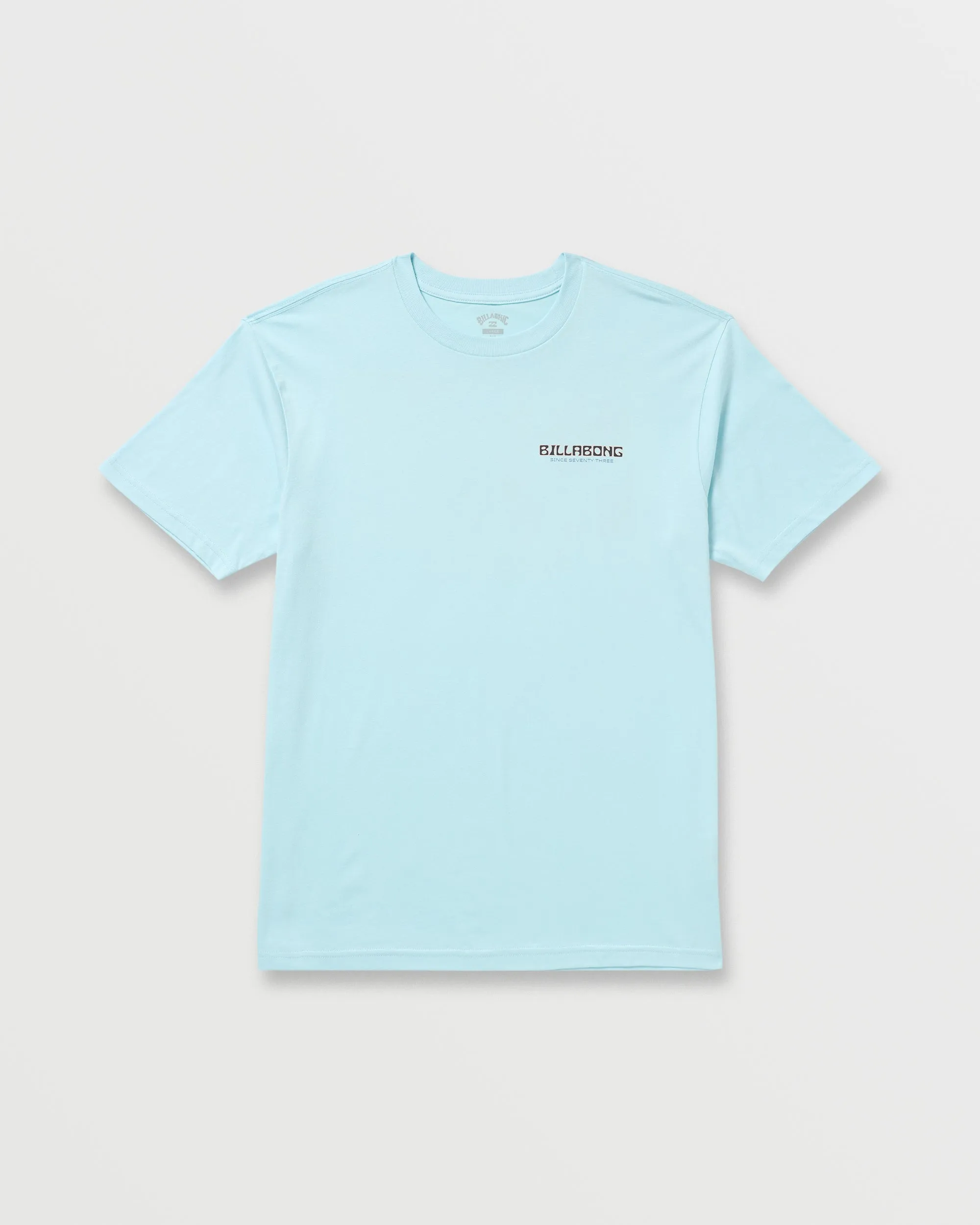 Window Premium Tee - Coastal Blue Billabong