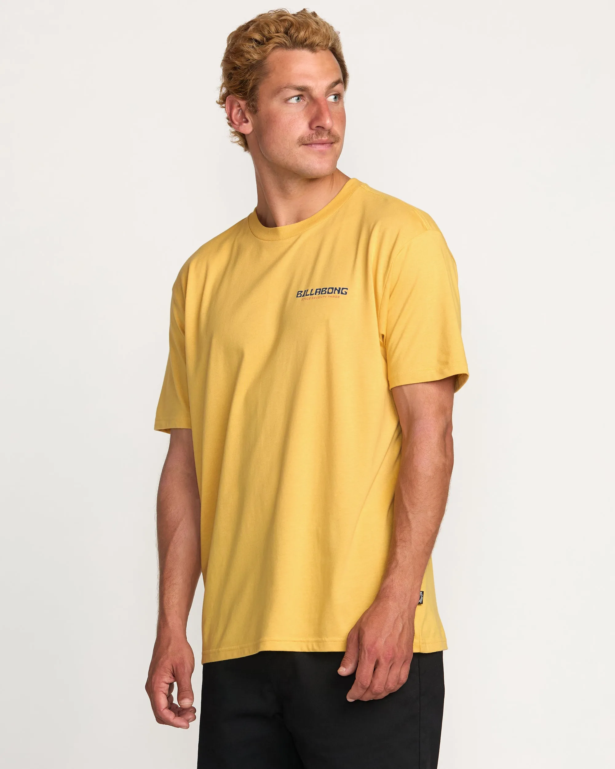 Window Premium Tee - Vintage Gold Billabong