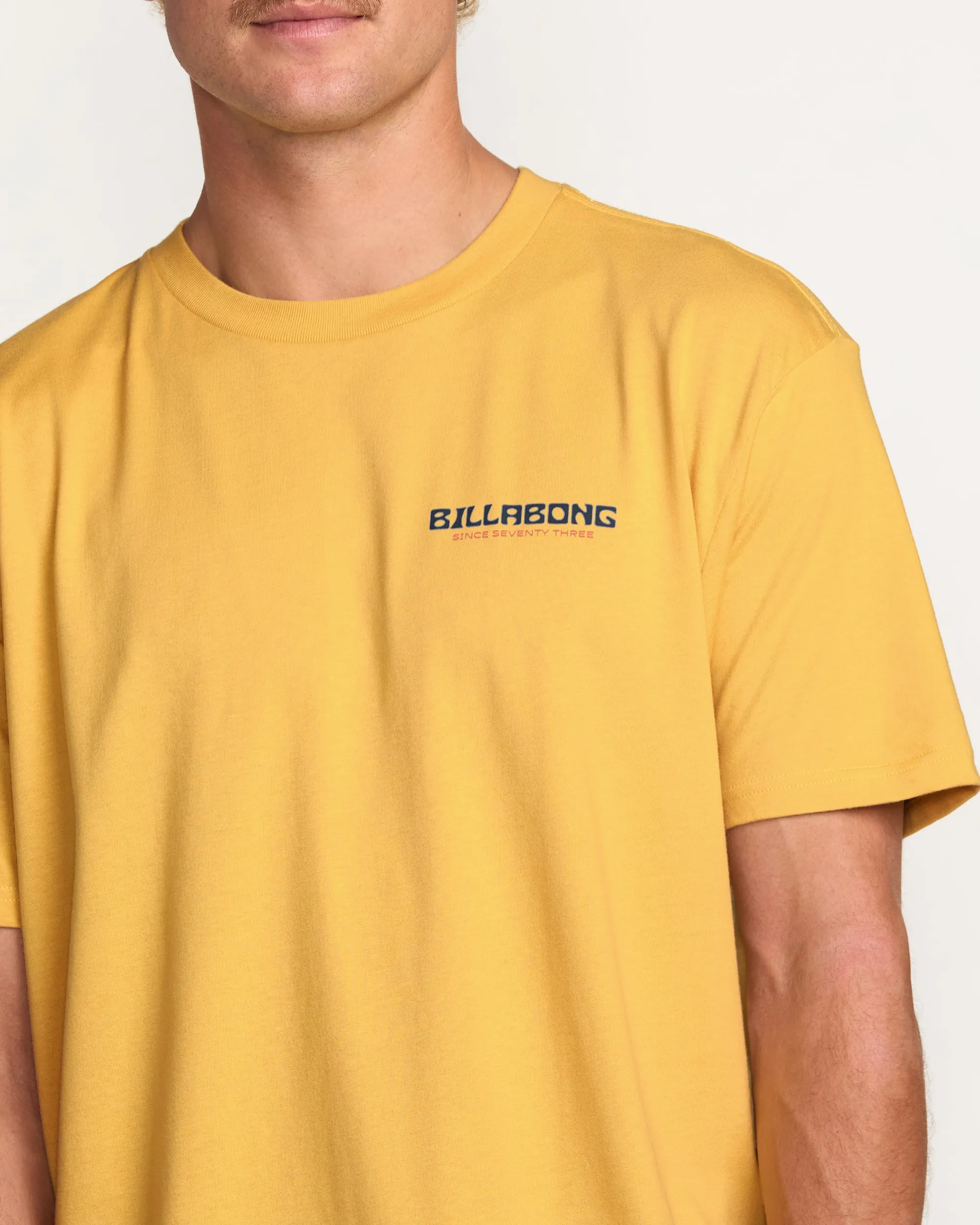 Window Premium Tee - Vintage Gold Billabong